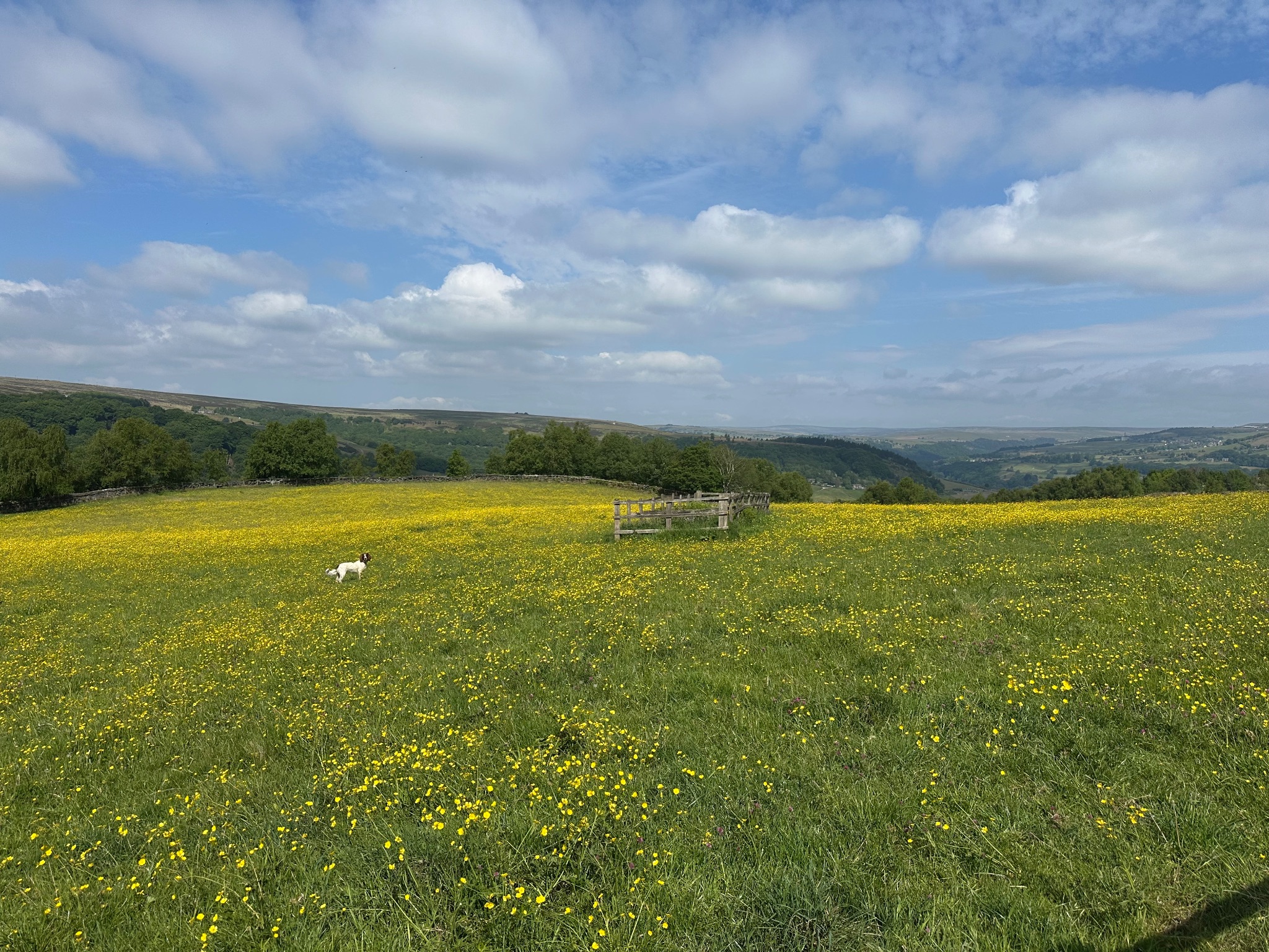 9 bedroom equestrian facility character property For Sale in Hebden Bridge - Property photograph.
