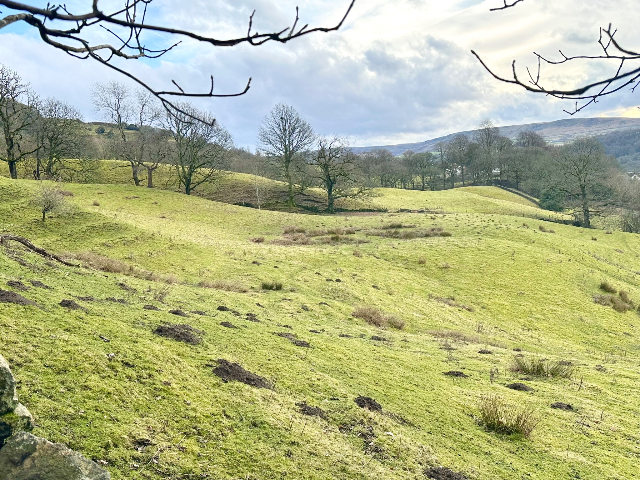 4 bedroom detached house SSTC in Todmorden - Photograph 42.