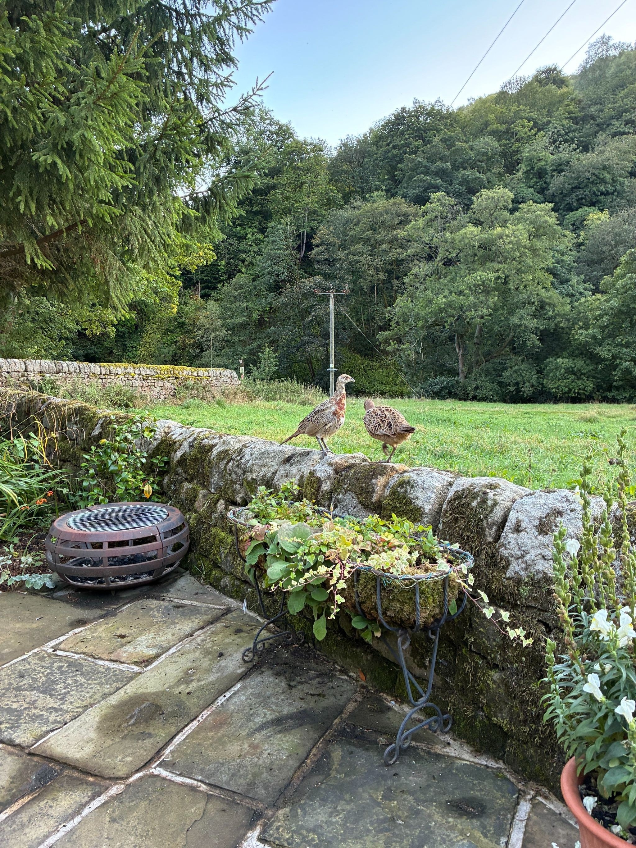 4 bedroom detached house SSTC in Hebden Bridge - Photograph 35.