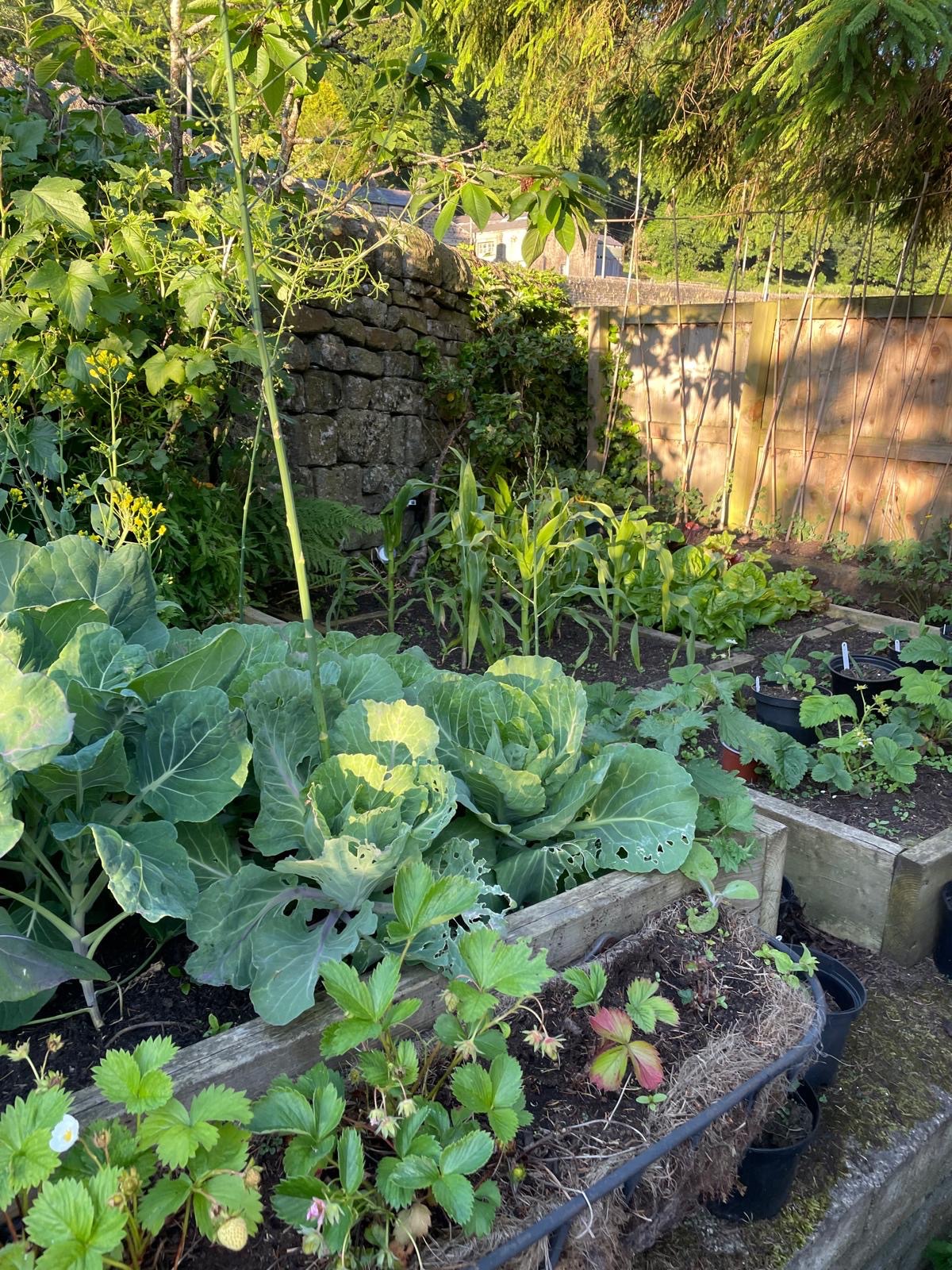 4 bedroom detached house SSTC in Hebden Bridge - Photograph 31.
