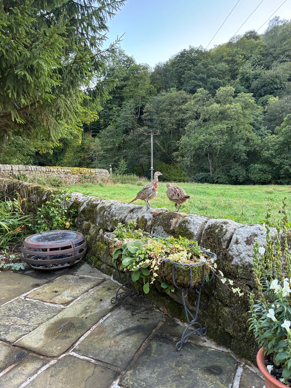 4 bedroom detached house SSTC in Hebden Bridge - Photograph 24.
