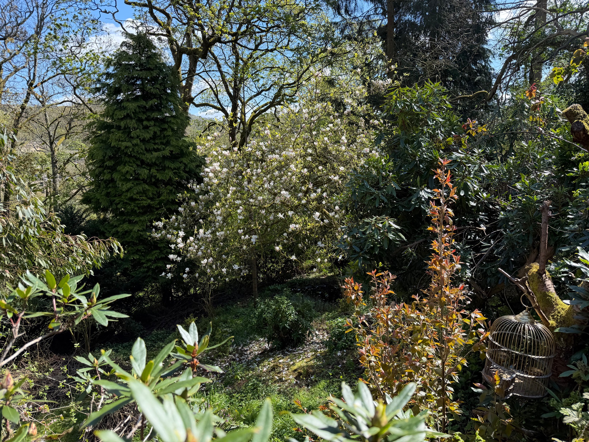 2 bedroom end terraced house For Sale in Hebden Bridge - Photograph 5.