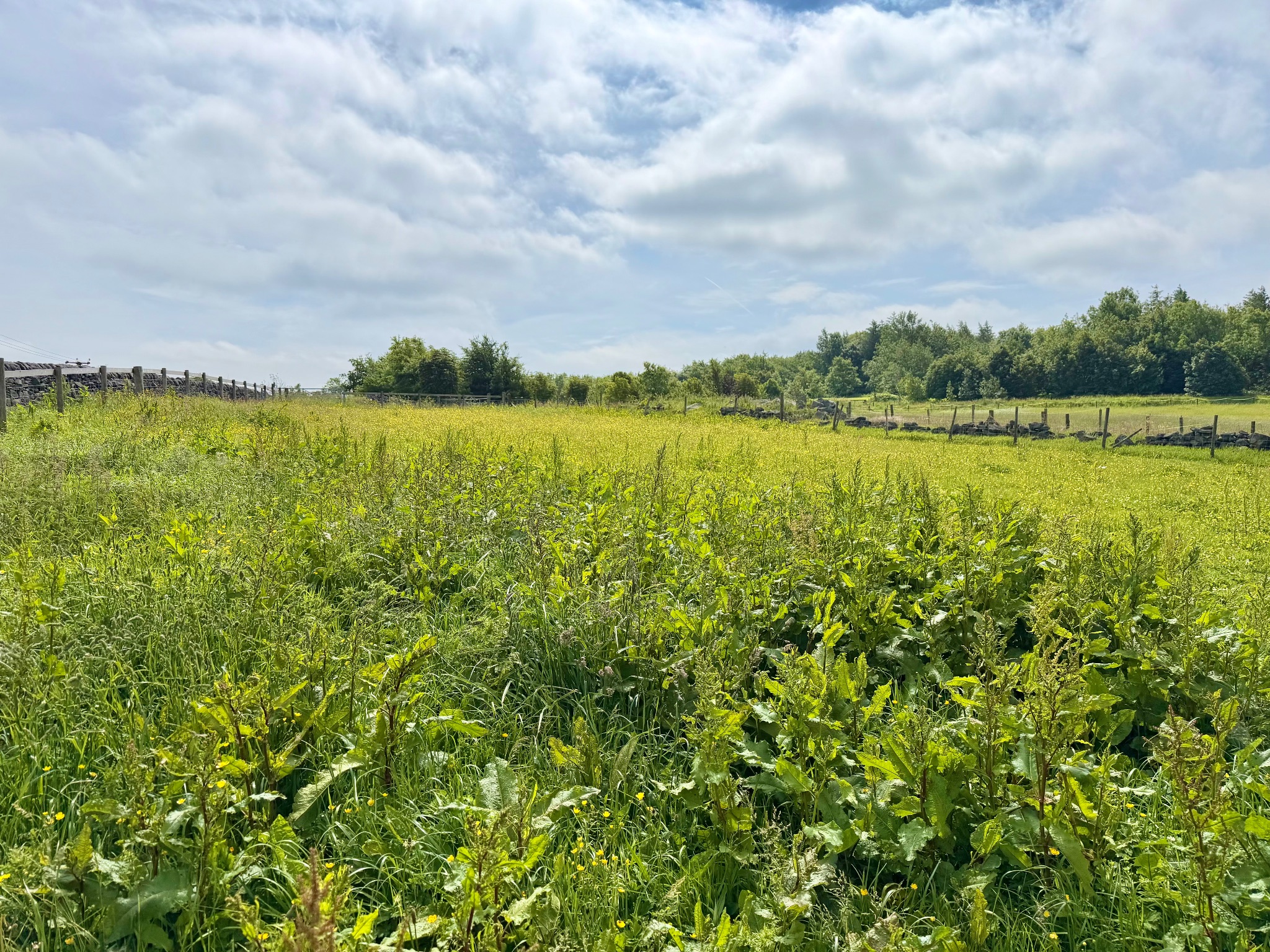 3 bedroom plot land For Sale in Cragg Vale - Photograph 7.