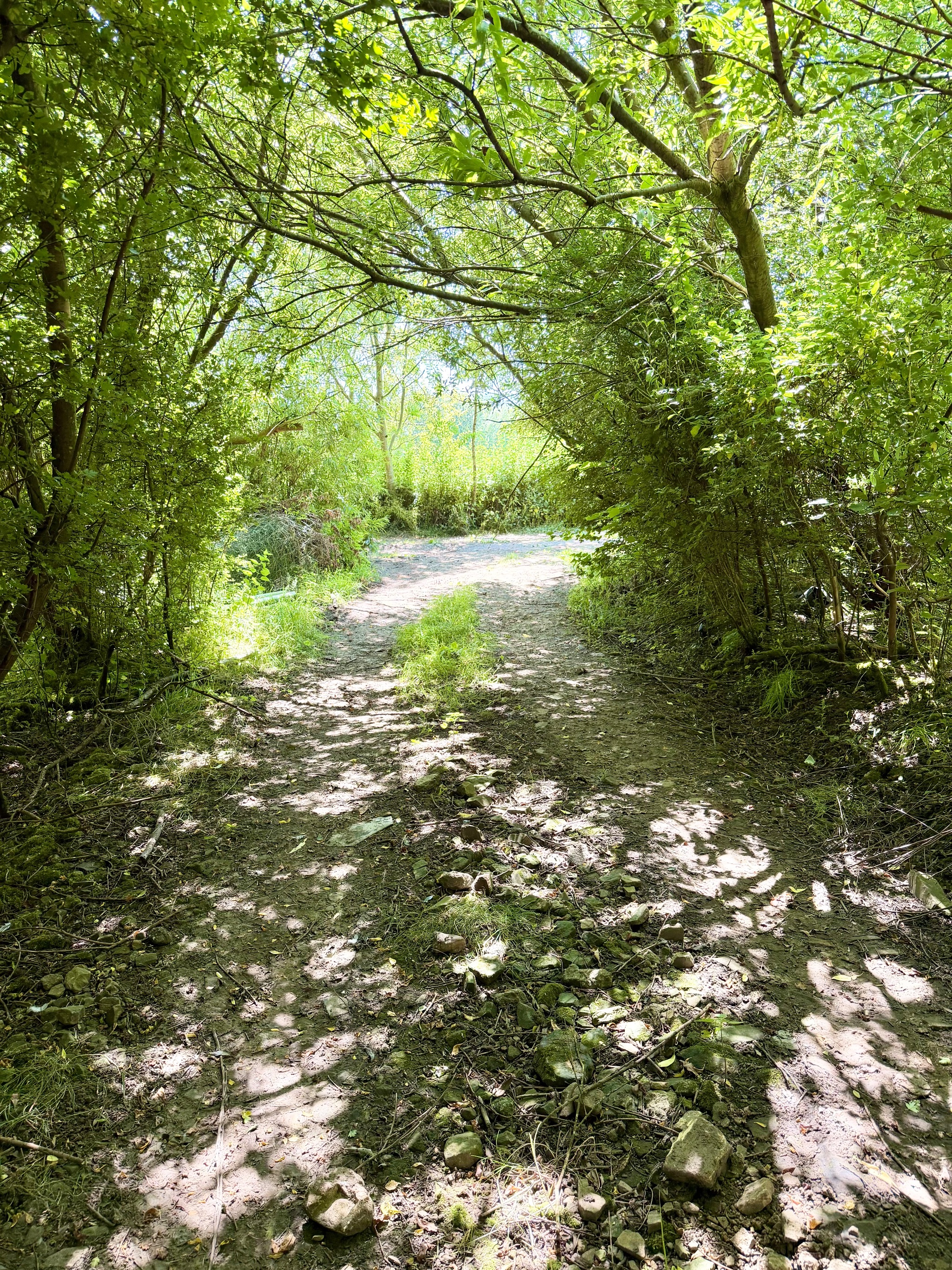 Farm Land Land For Sale in Sowerby Bridge - Photograph 5.
