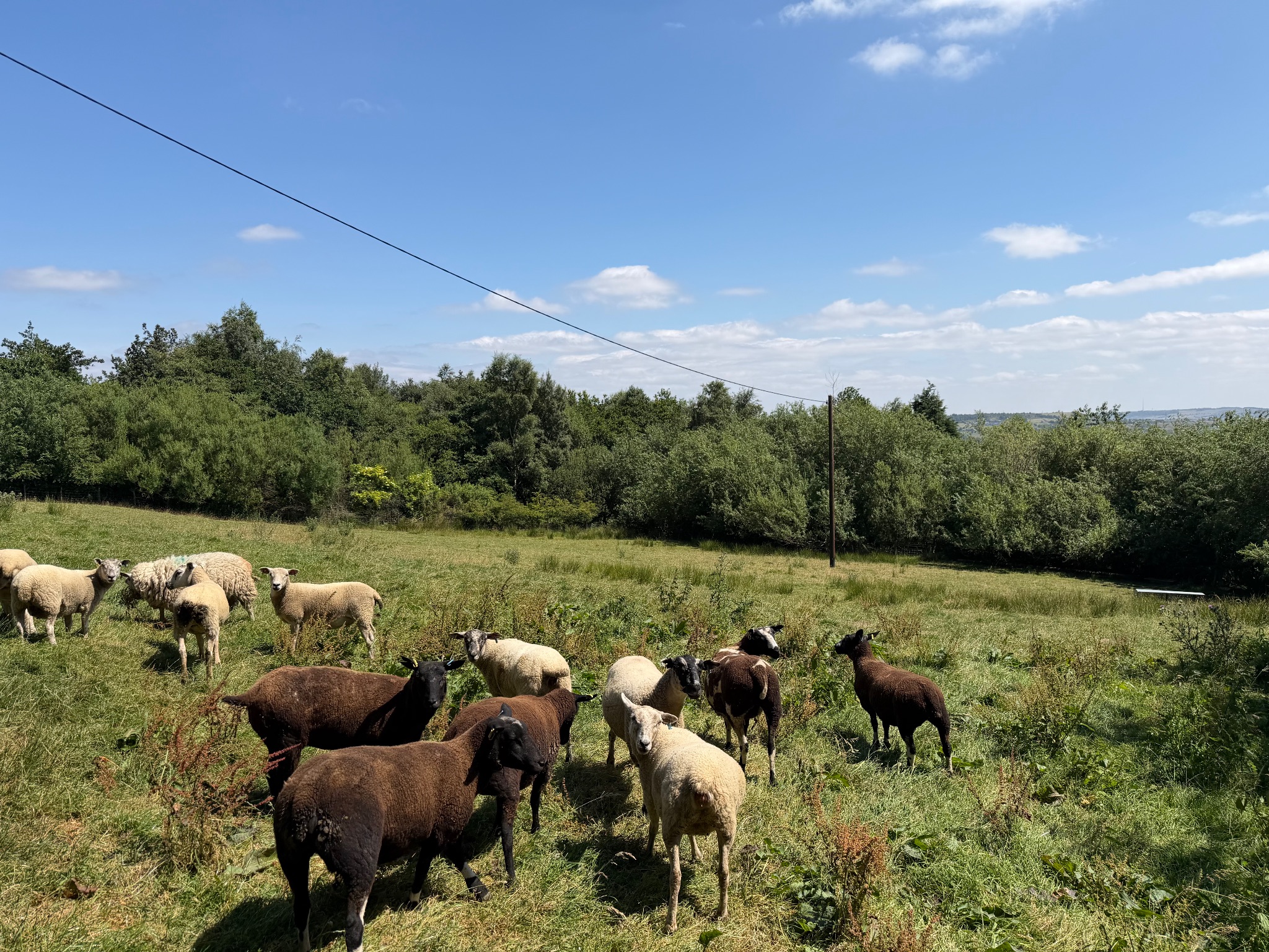 Farm Land Land For Sale in Sowerby Bridge - Photograph 4.