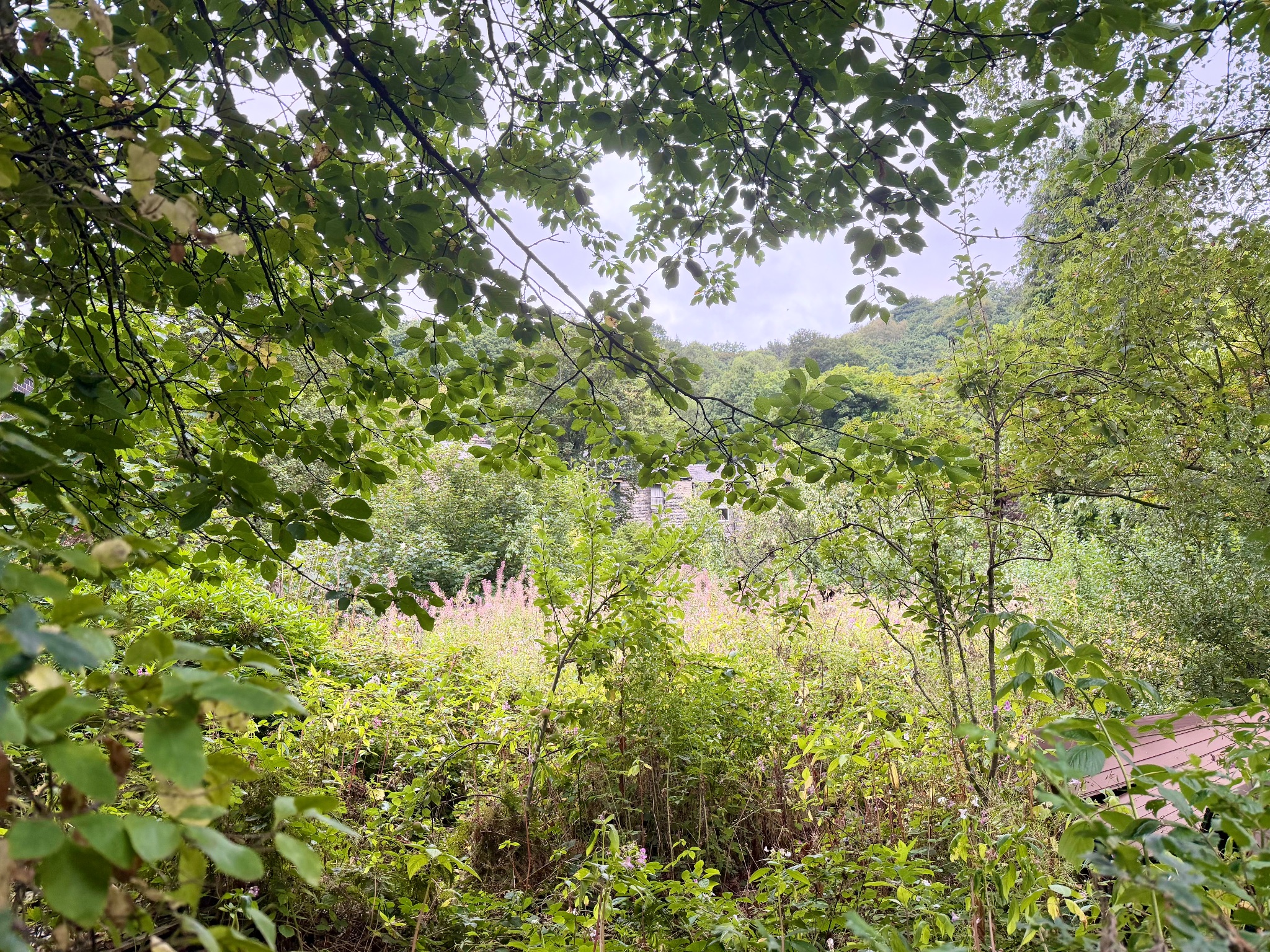 Plot Land For Sale in Todmorden - Property photograph.