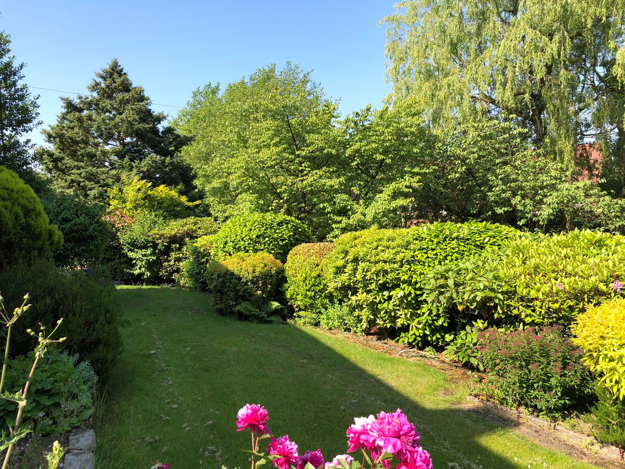 4 bedroom detached house SSTC in Hyde - Front Garden.