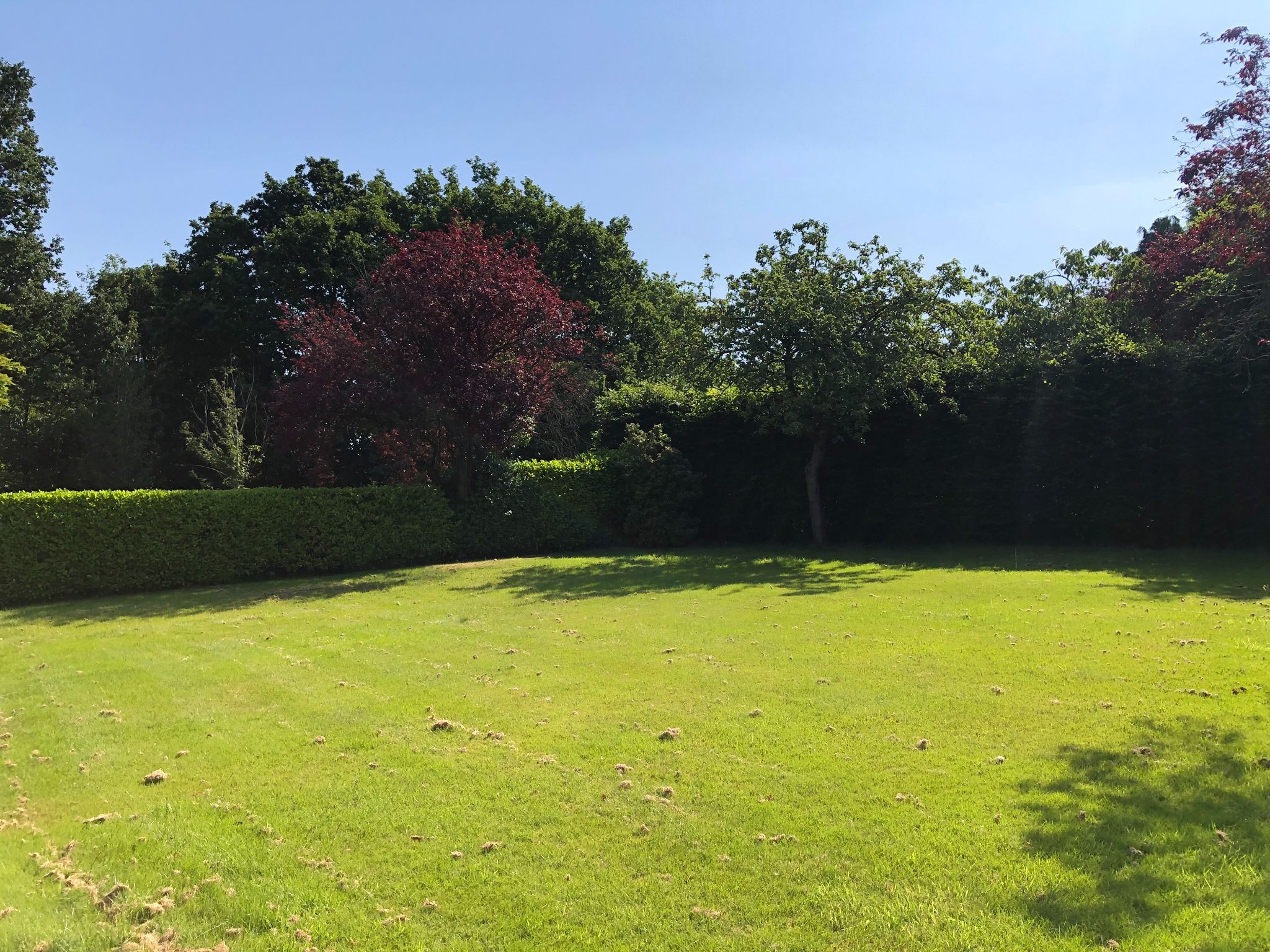 4 bedroom detached house SSTC in Hyde - Rear Garden.
