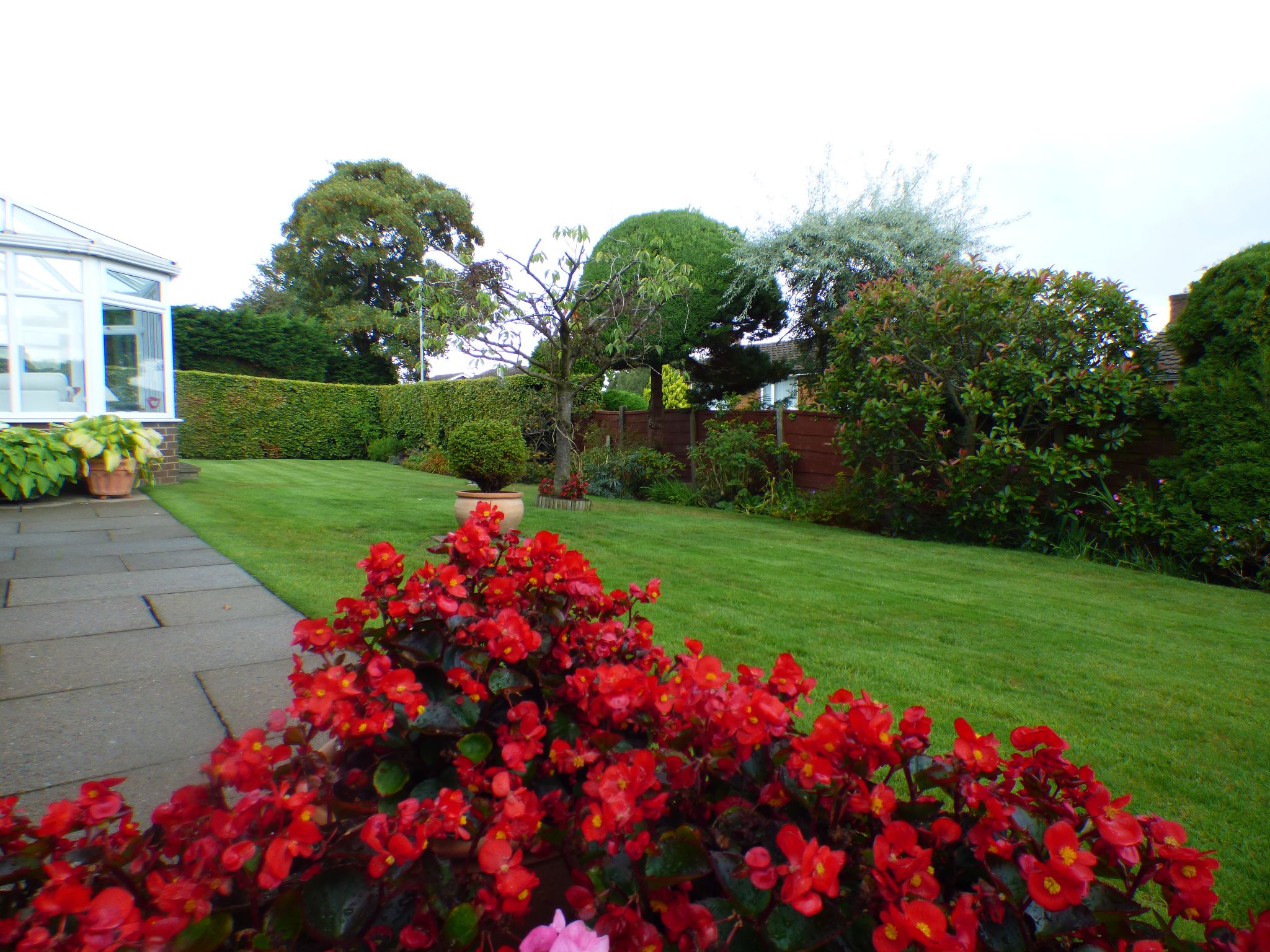 4 bedroom detached house SSTC in Stockport - Rear Garden.