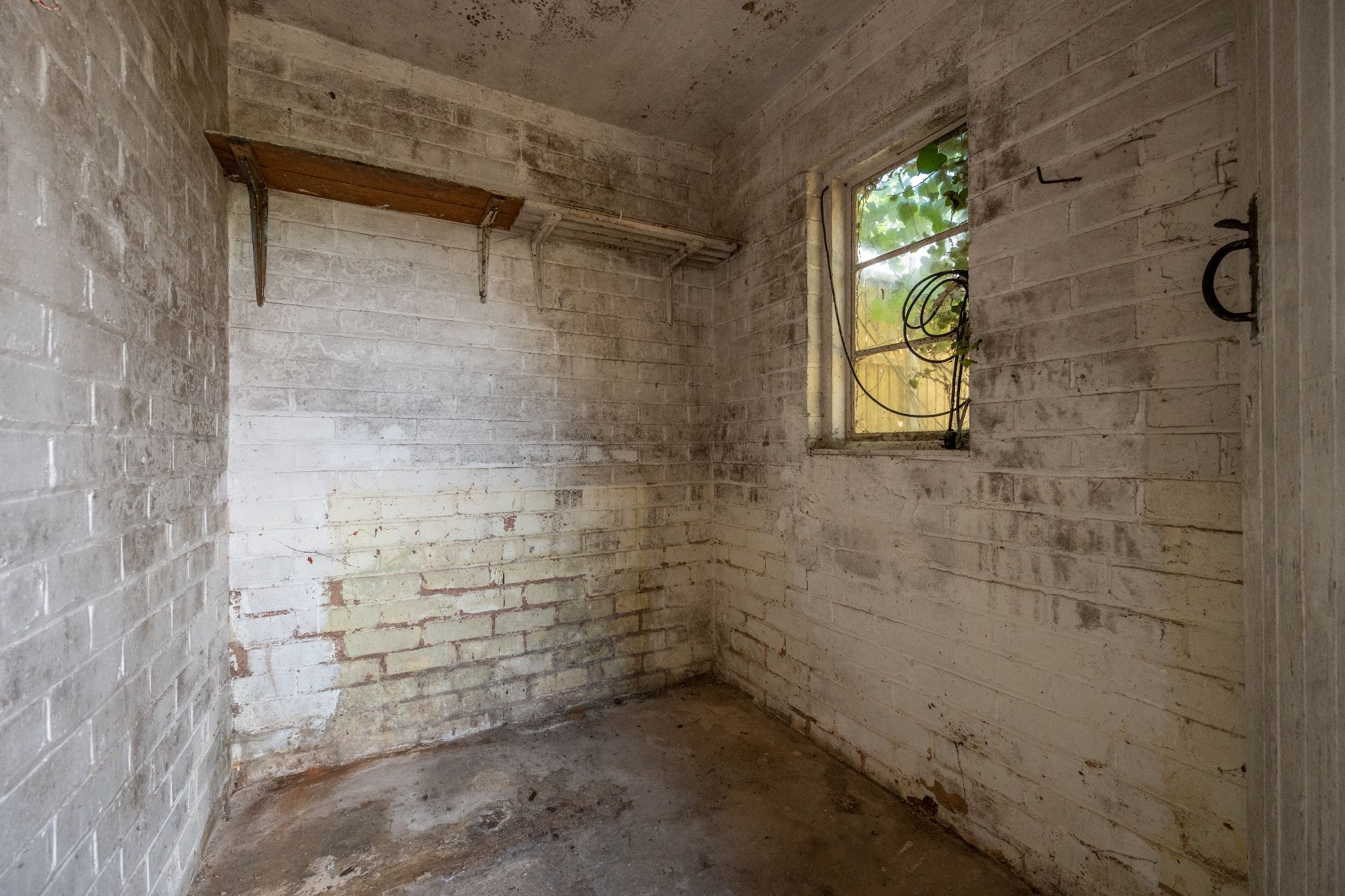  - Photograph 20