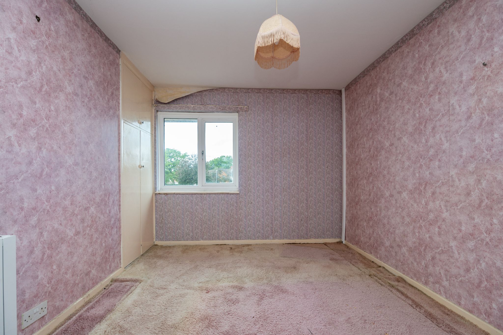  - Photograph 13