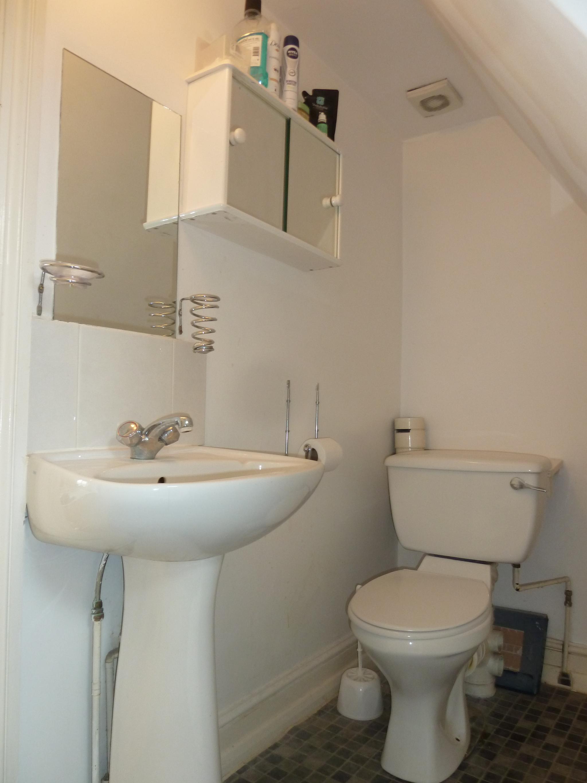 1 bedroom apartment flat/apartment To Let in London - BATHROOM