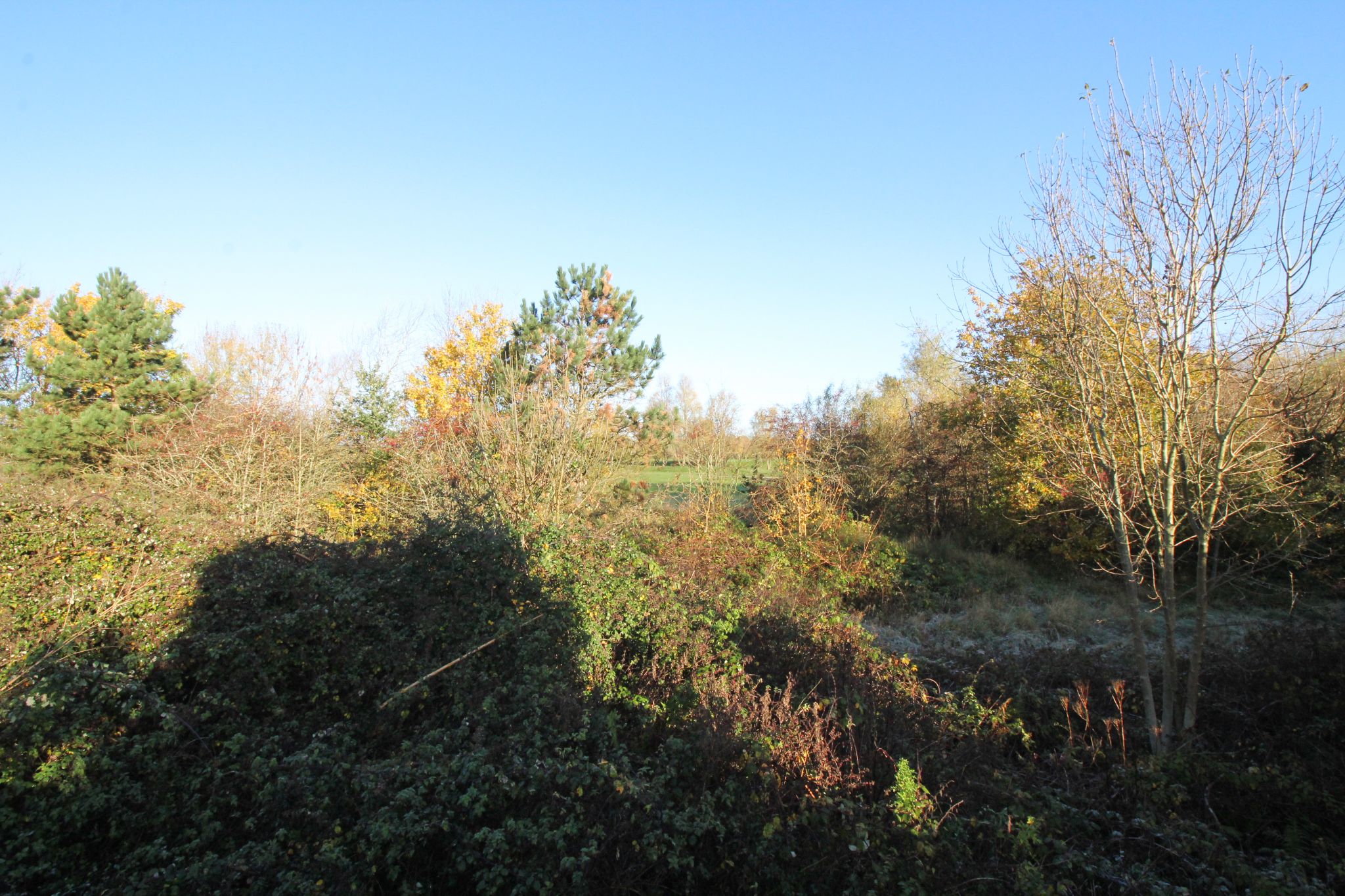 6 bedroom detached house SSTC in Solihull - Photograph 25.