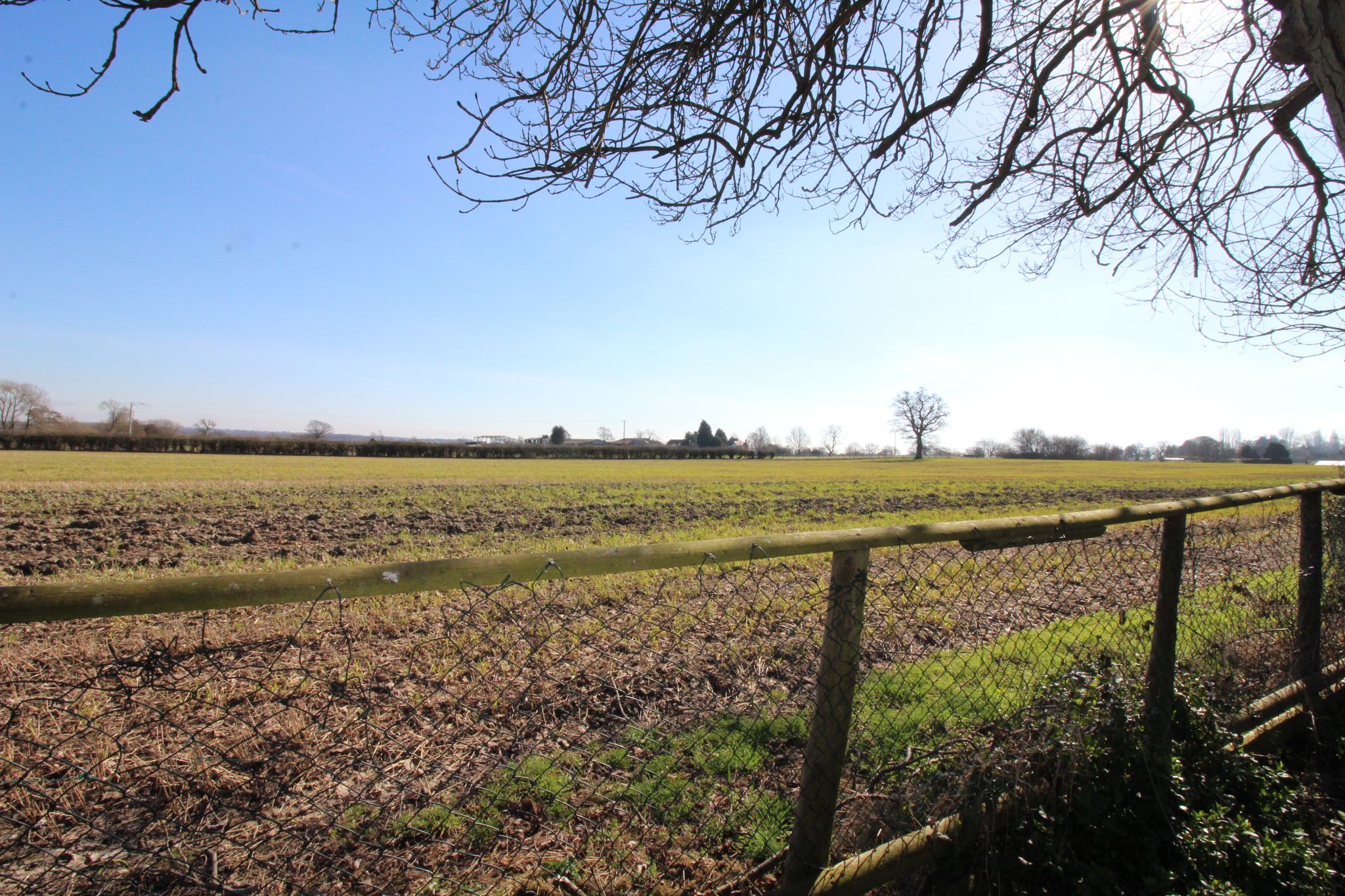 3 bedroom detached bungalow SSTC in Solihull - Photograph 2.