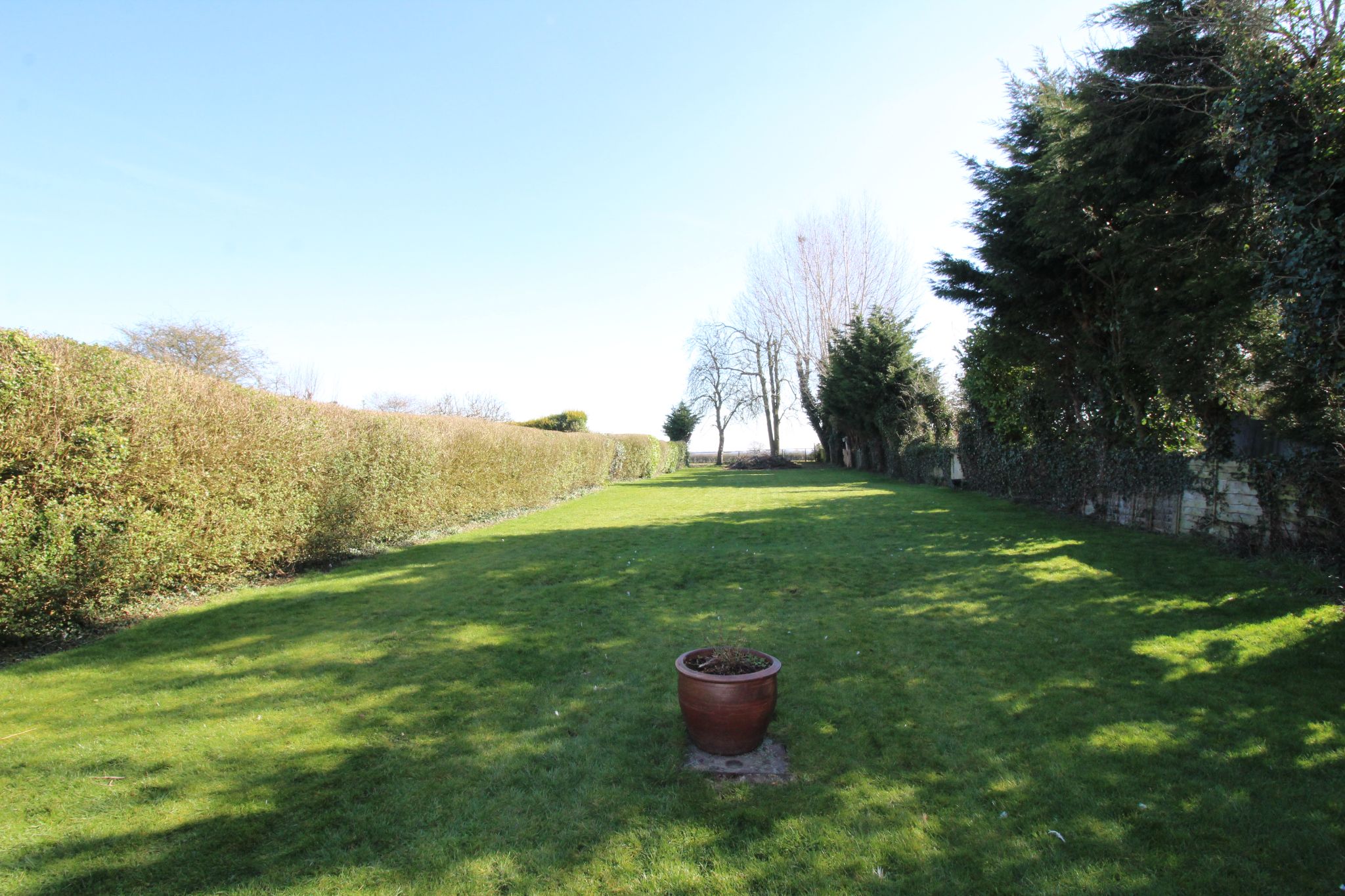 3 bedroom detached bungalow SSTC in Solihull - Photograph 4.