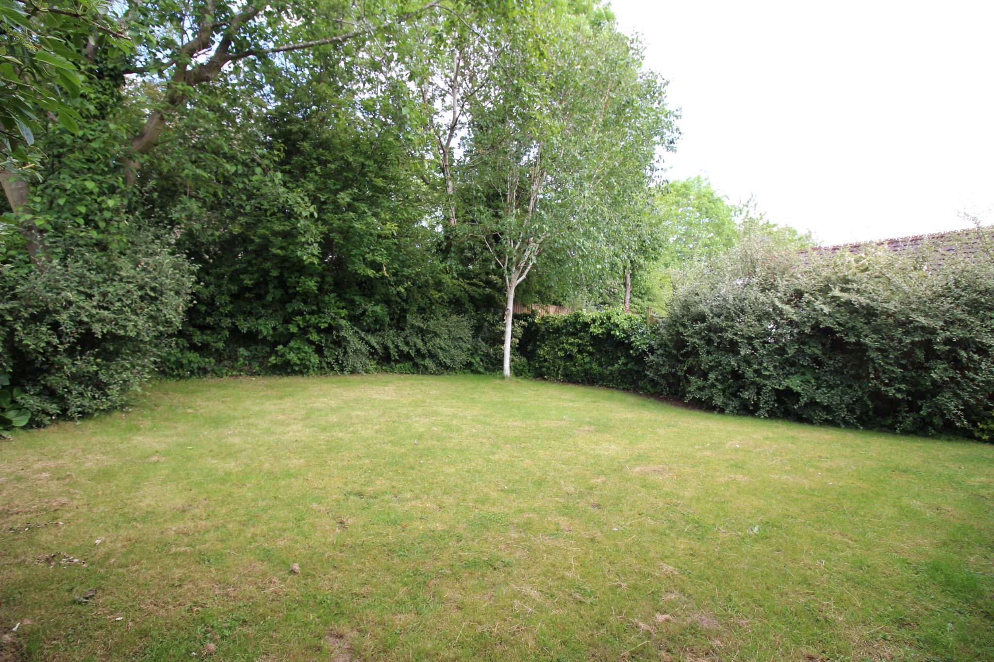 2 bedroom detached bungalow SSTC in Solihull - Photograph 5.