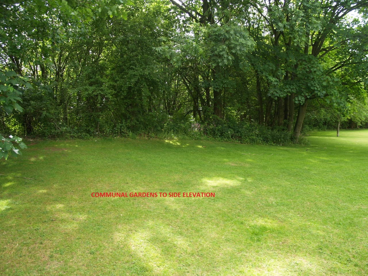 2 bedroom semi detached bungalow SSTC in Solihull - Photograph 2.