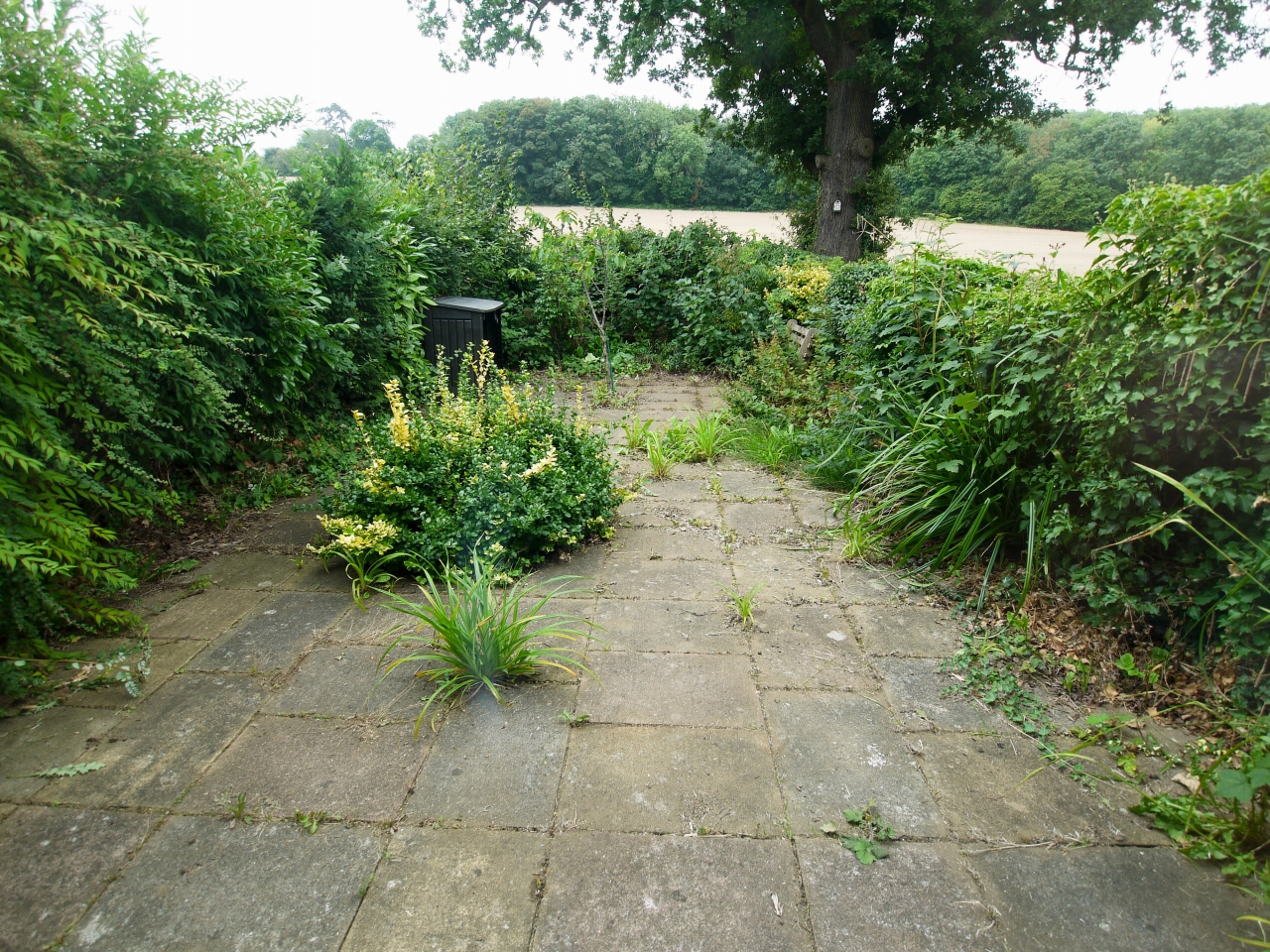 3 bedroom mid terraced house Sold in Sevenoaks - Photograph 8