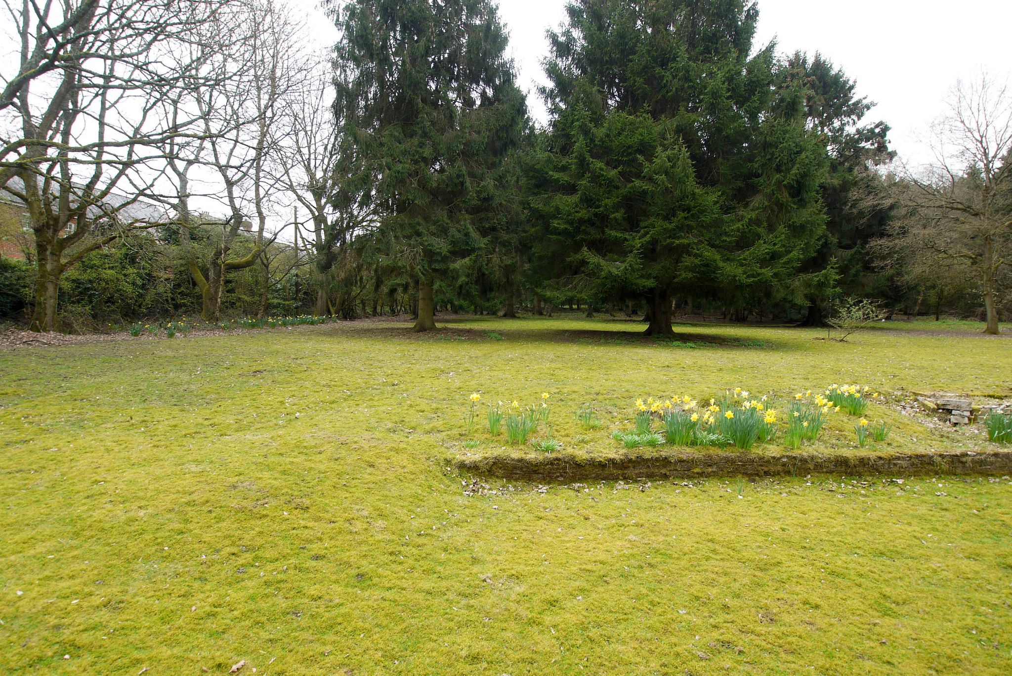 2 bedroom detached bungalow Sold in Sevenoaks - Photograph 9