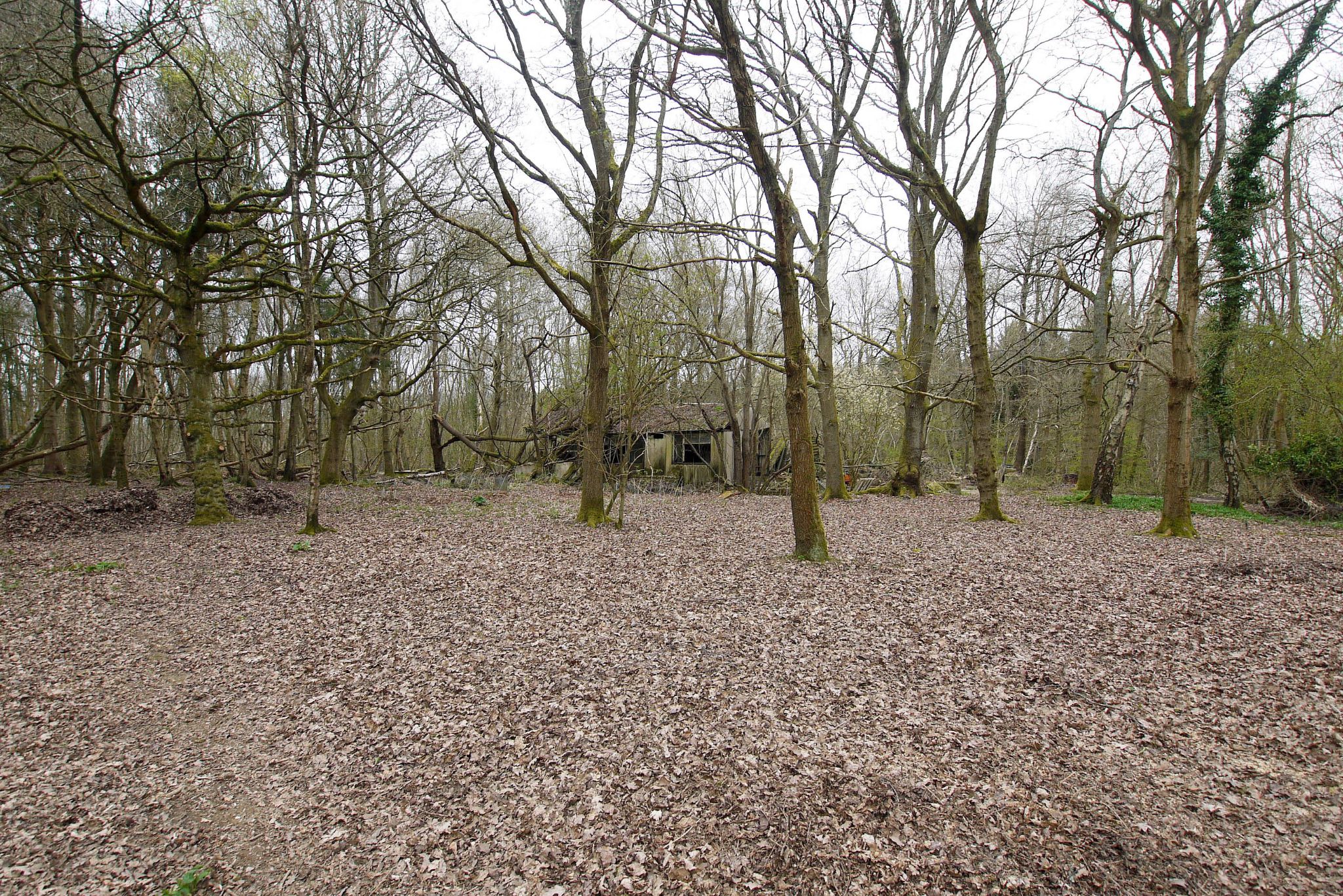 2 bedroom detached bungalow Sold in Sevenoaks - Photograph 12