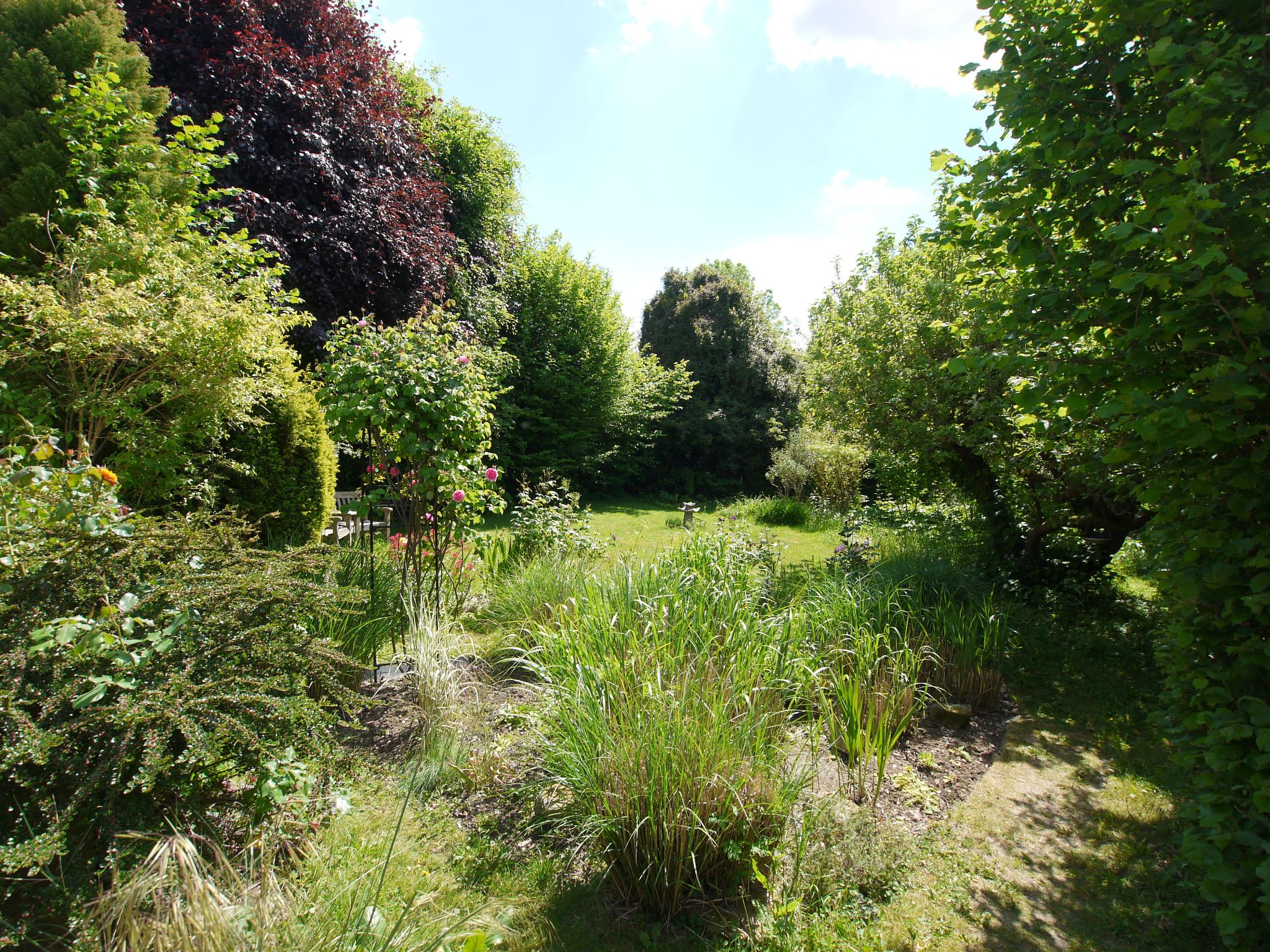 2 bedroom detached bungalow Sold in Sevenoaks - Photograph 9