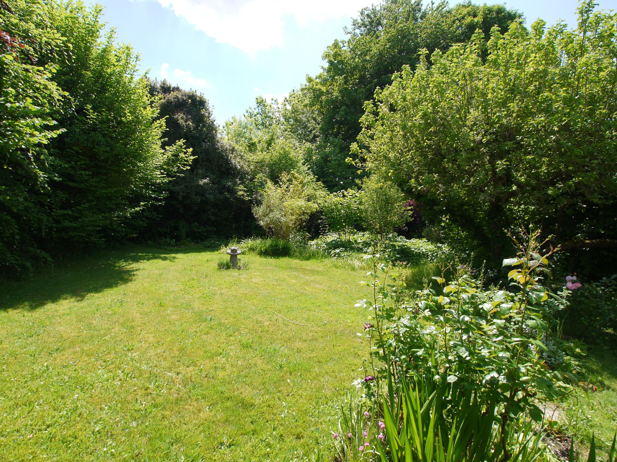2 bedroom detached bungalow Sold in Sevenoaks - Photograph 10