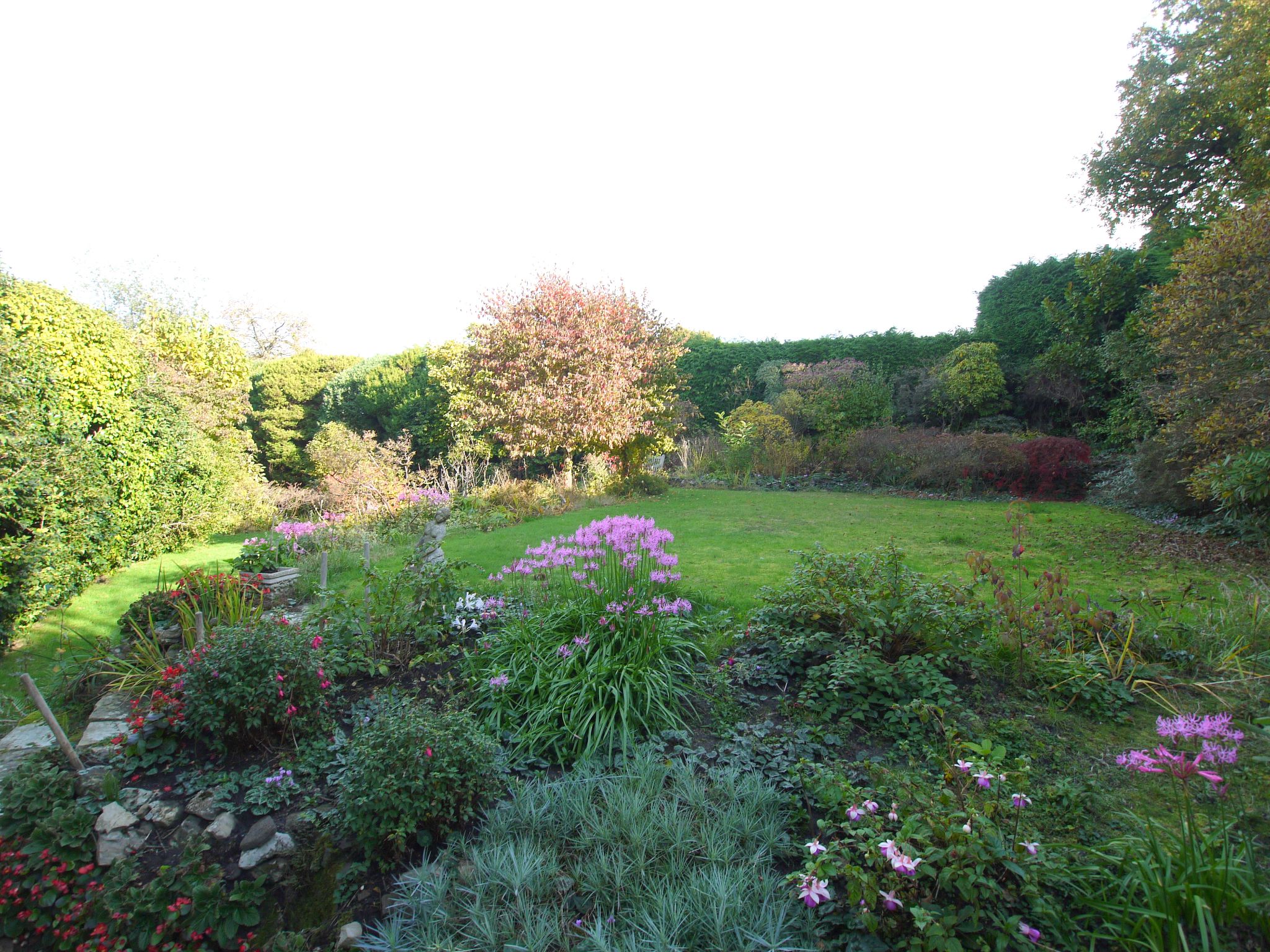 3 bedroom detached house Sold in Sevenoaks - Photograph 9