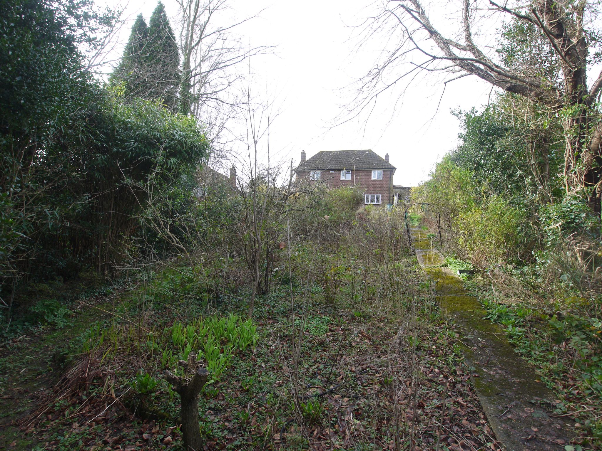 3 bedroom detached house Sold in Sevenoaks - Photograph 10