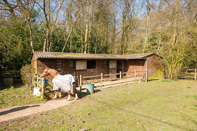 4 bedroom detached house SSTC in Knockholt - Photograph 2