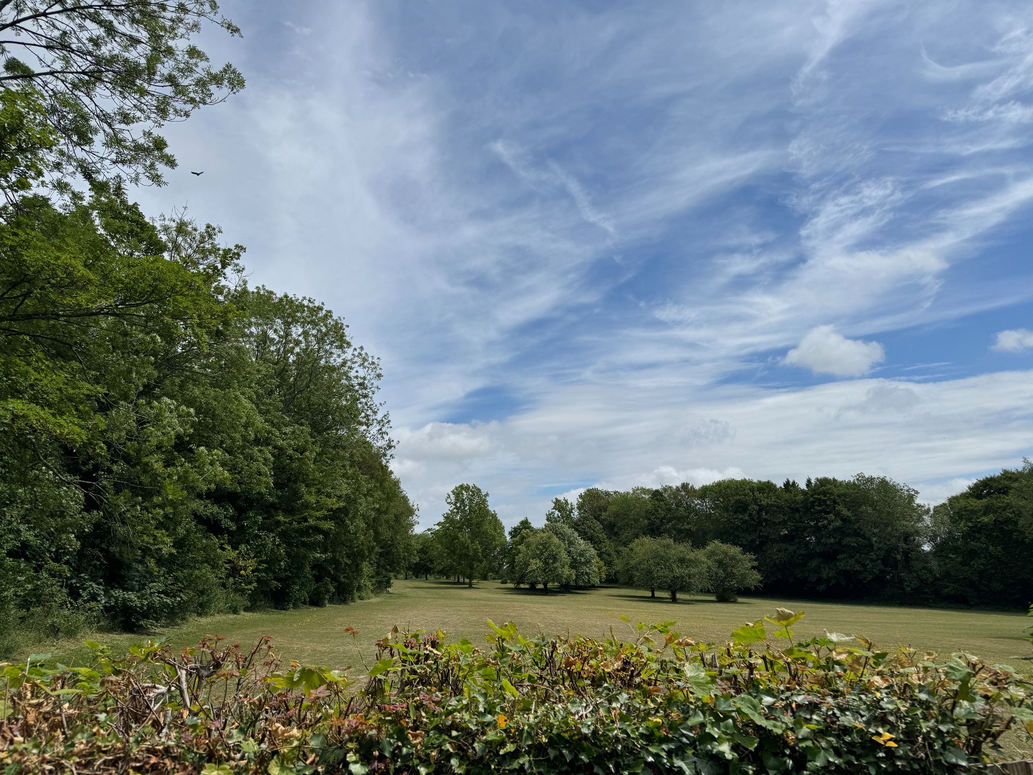3 bedroom detached bungalow For Sale in Kemsing - Photograph 13