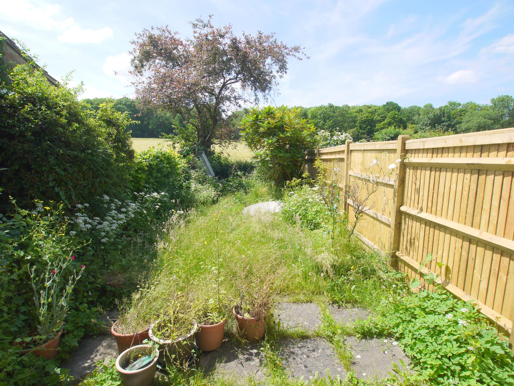 3 bedroom mid terraced house Sold in Sevenoaks - Photograph 3