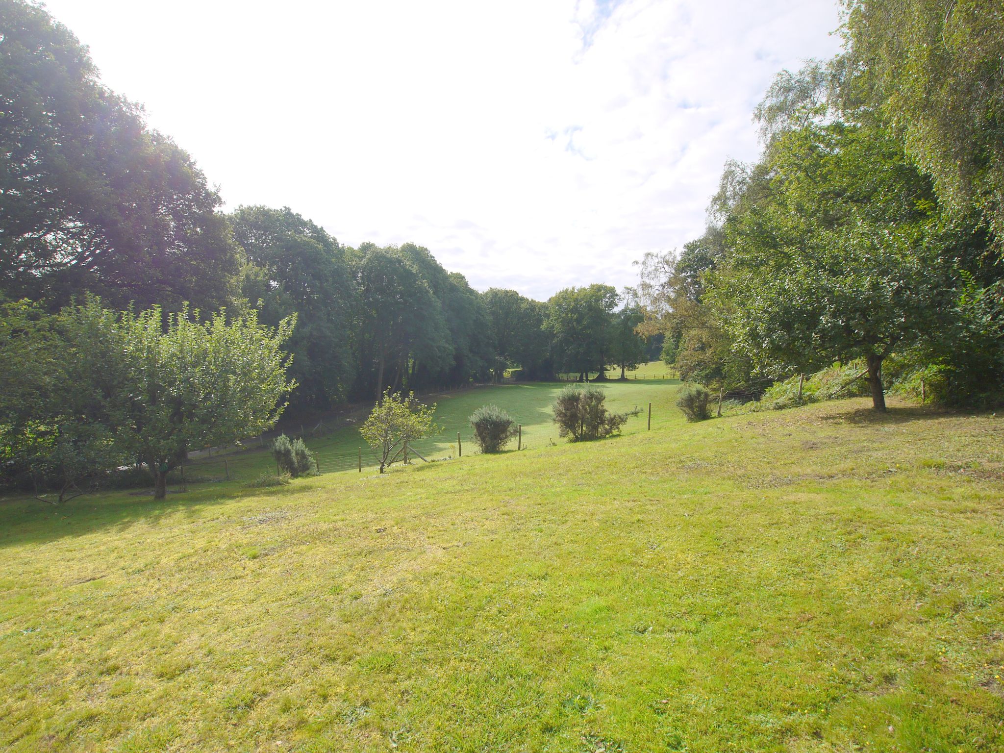 3 bedroom detached bungalow Sold in Sevenoaks - Photograph 6