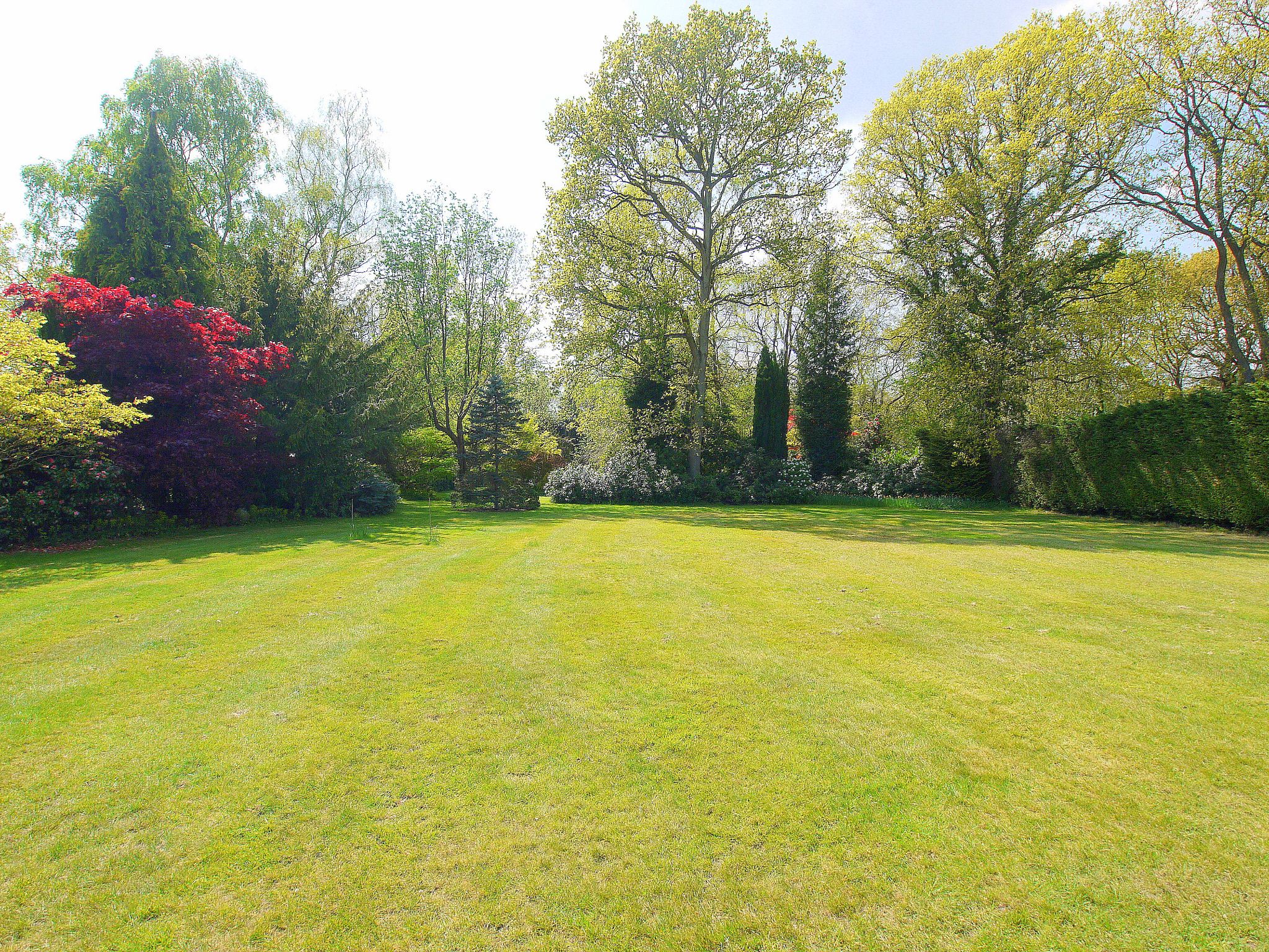 4 bedroom detached house Sold in Sevenoaks - Photograph 8