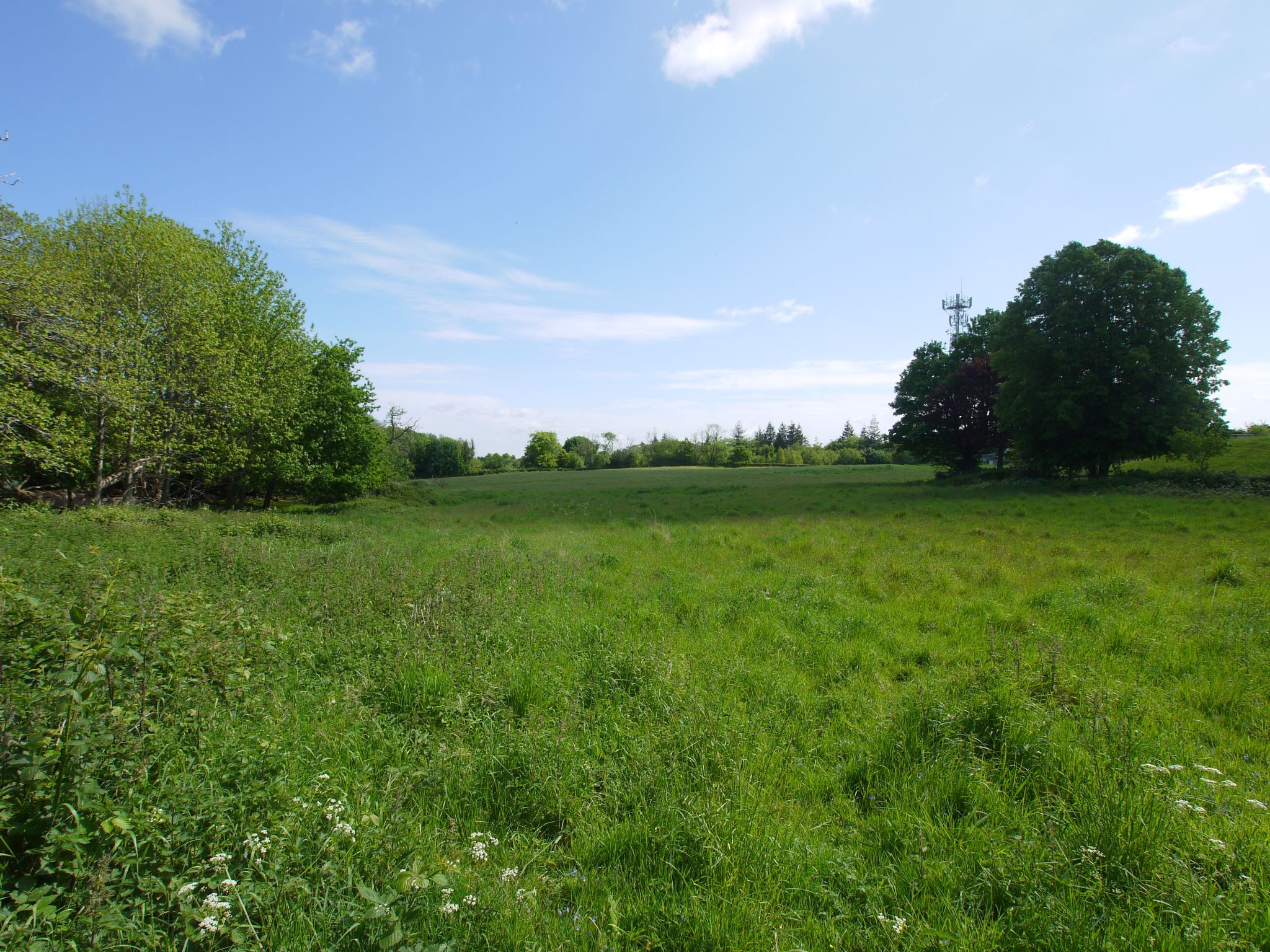 5 bedroom detached house Sold in Sevenoaks - Photograph 6