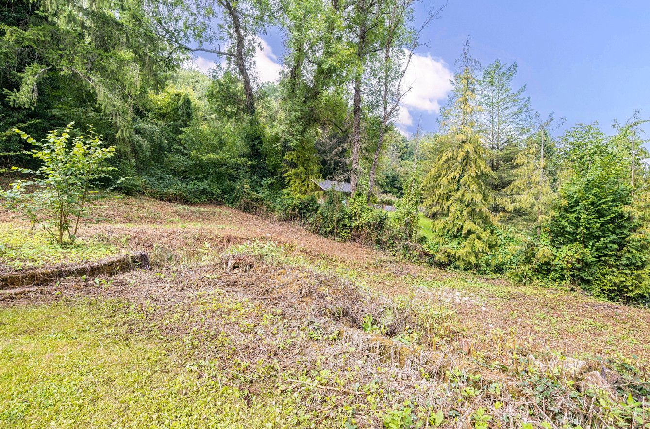 3 bedroom detached house Sold in Sevenoaks - Photograph 12