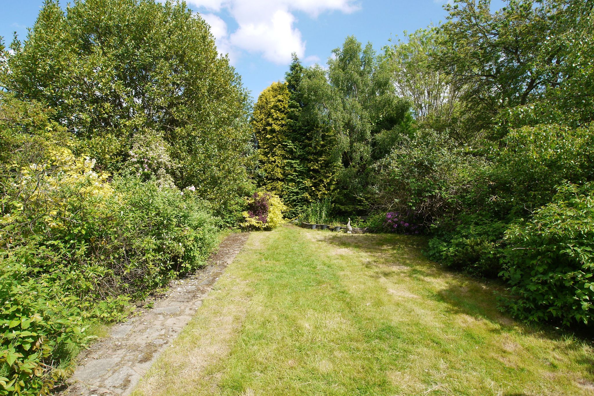 3 bedroom detached bungalow Sold in Sevenoaks - Photograph 8