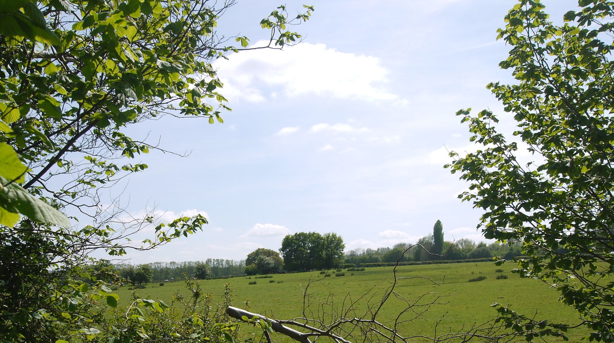 4 bedroom semi-detached house Sold in Otford - Photograph 9
