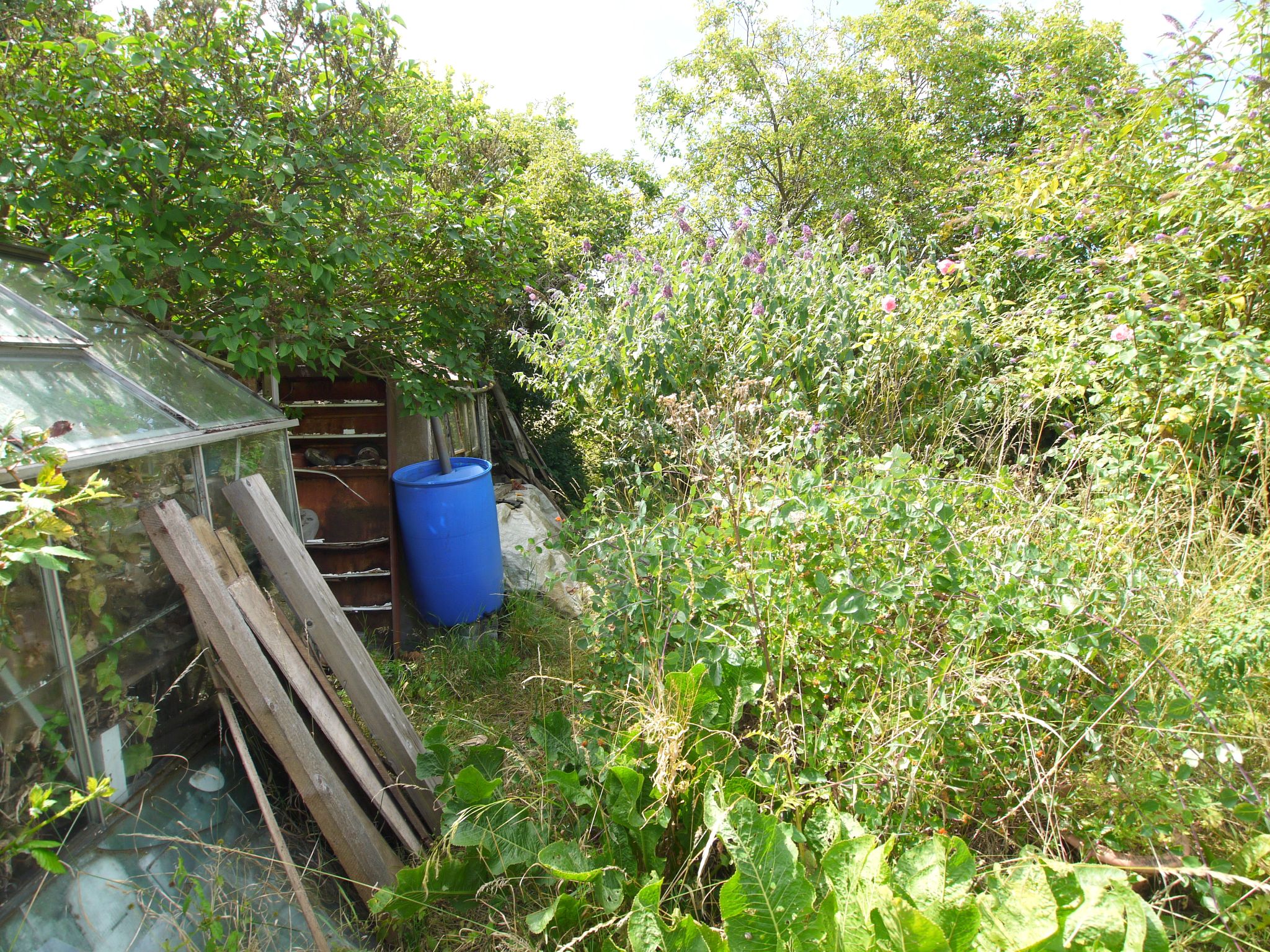 3 bedroom mid terraced house Sold in Shoreham - Photograph 8