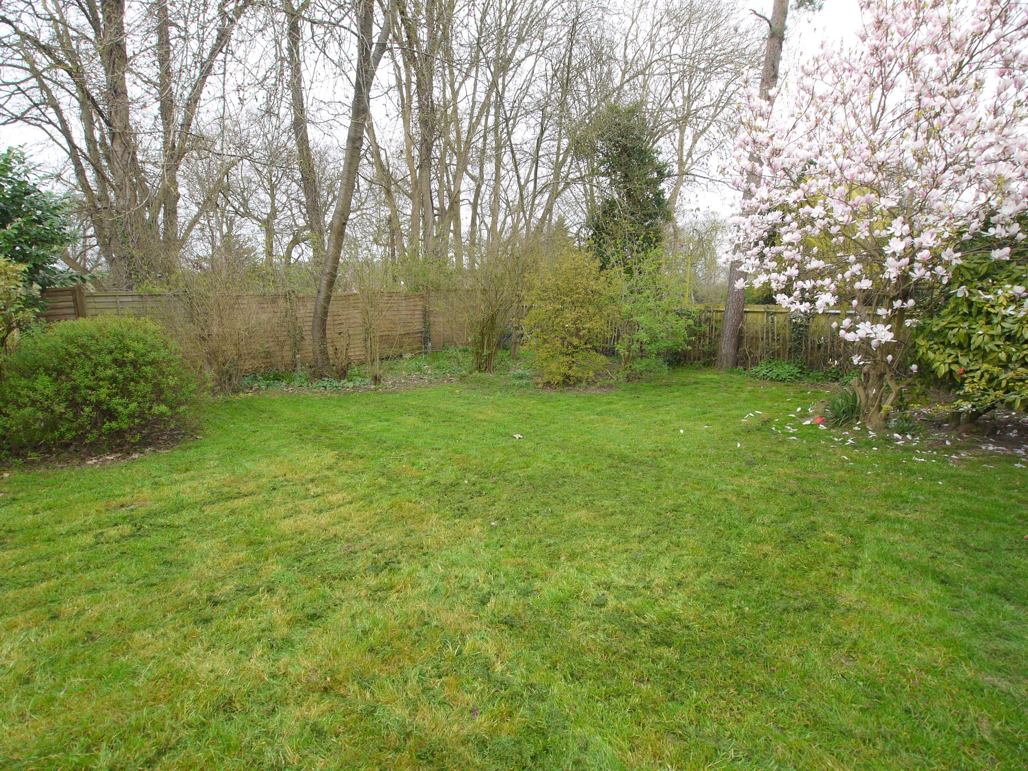 3 bedroom detached bungalow SSTC in Sevenoaks - Photograph 11