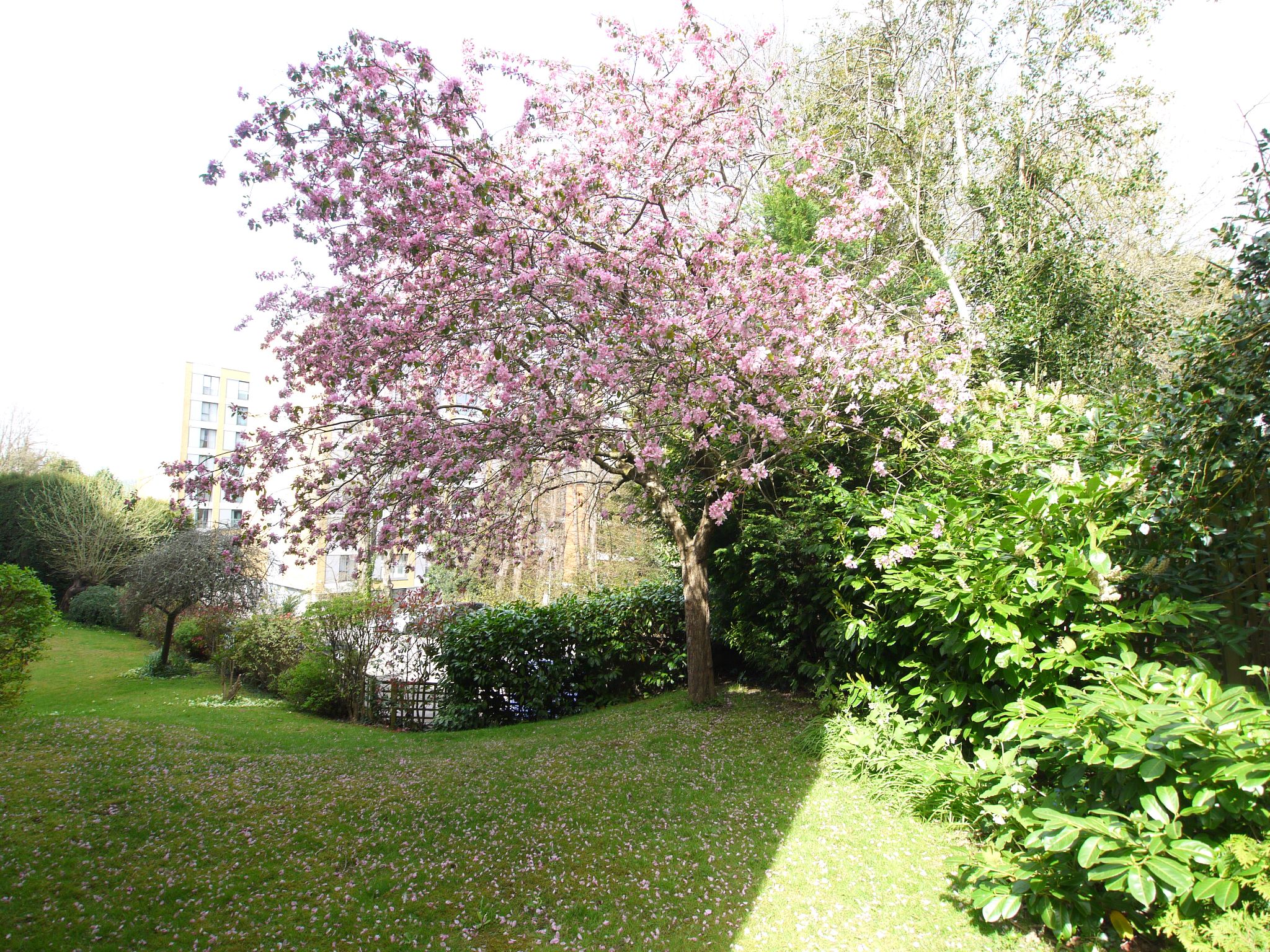 2 bedroom apartment For Sale in Sevenoaks - Photograph 9