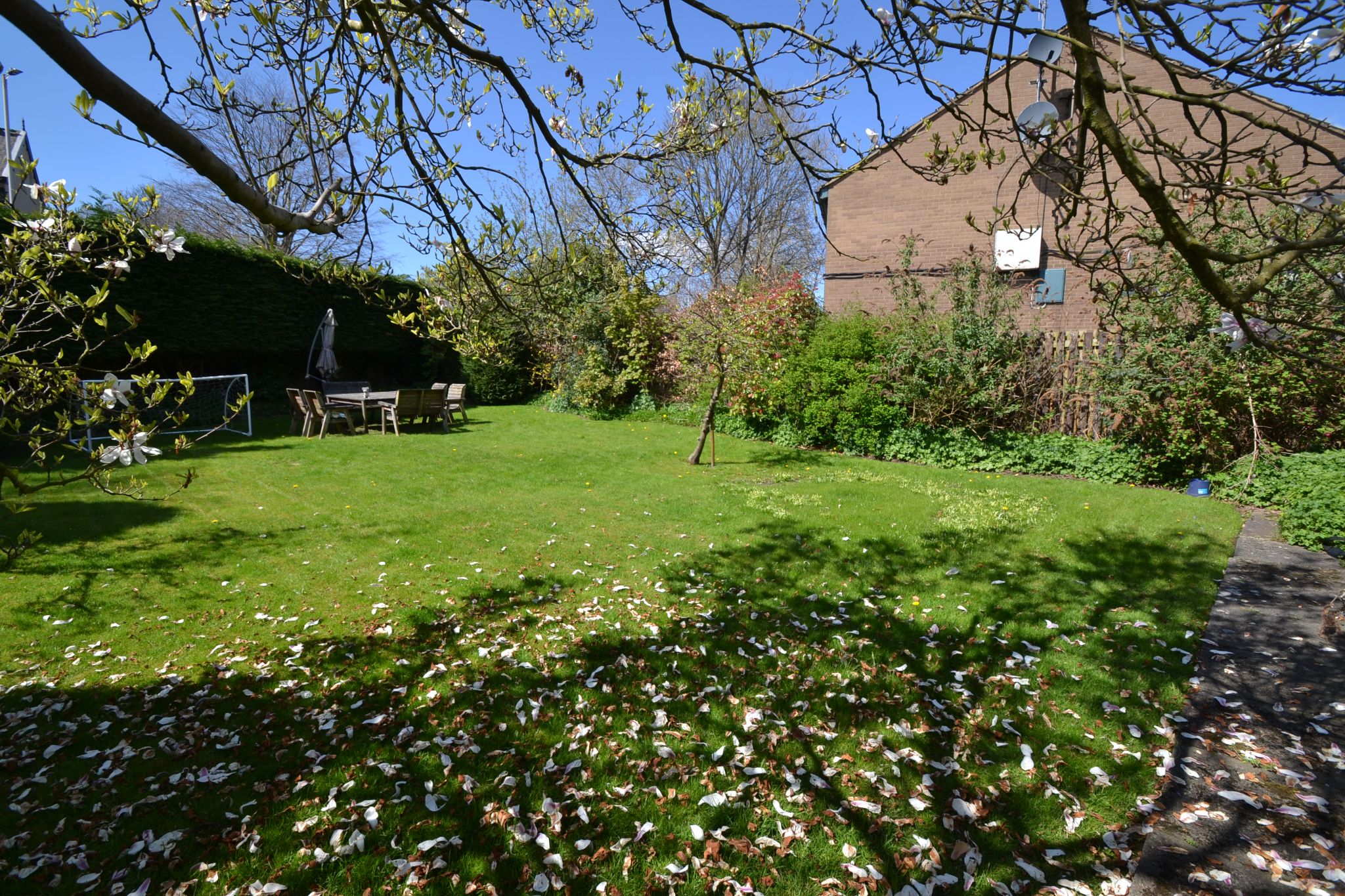 Plot Land For Sale - Photograph 3