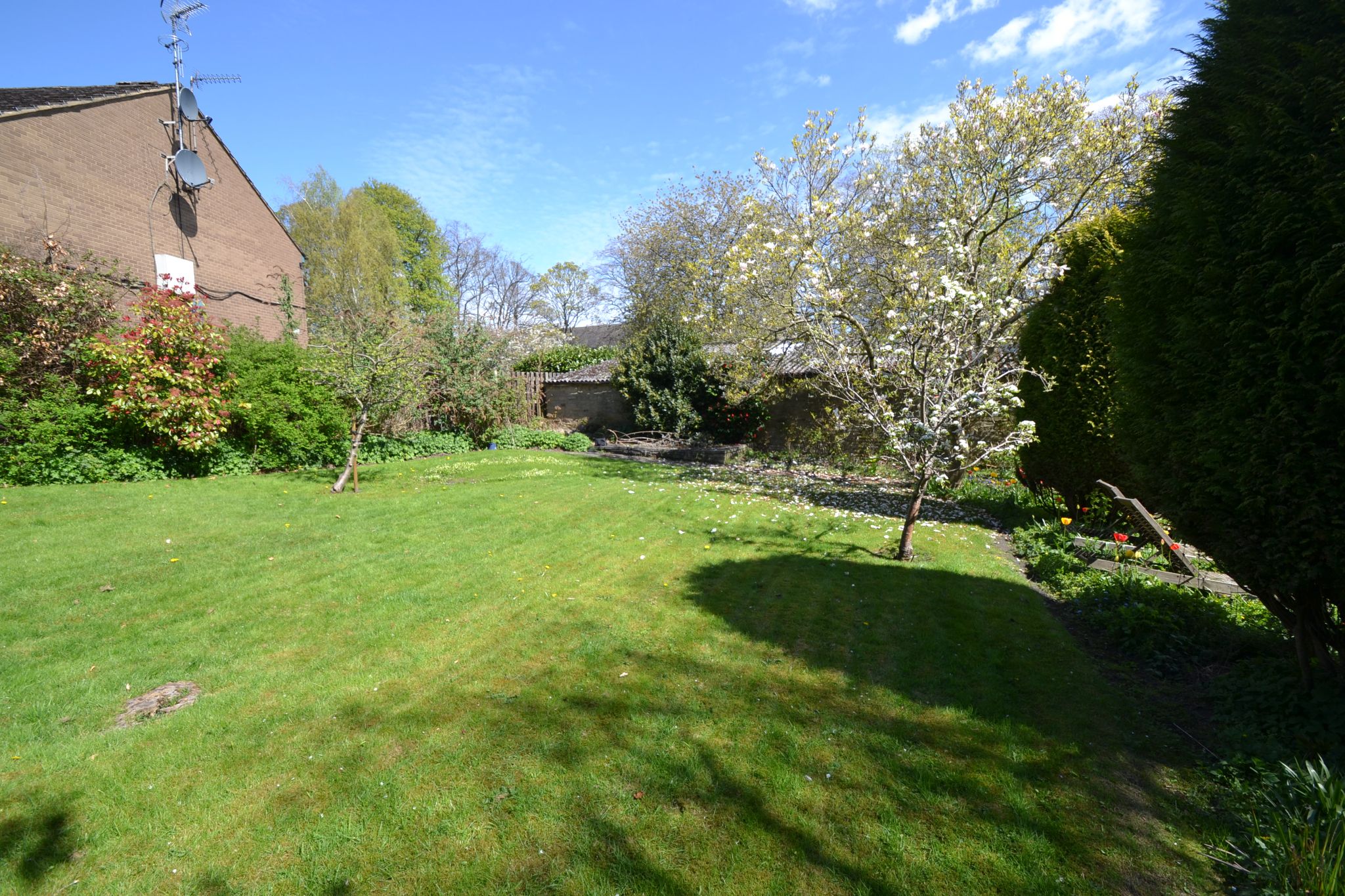 Plot Land For Sale - Photograph 4
