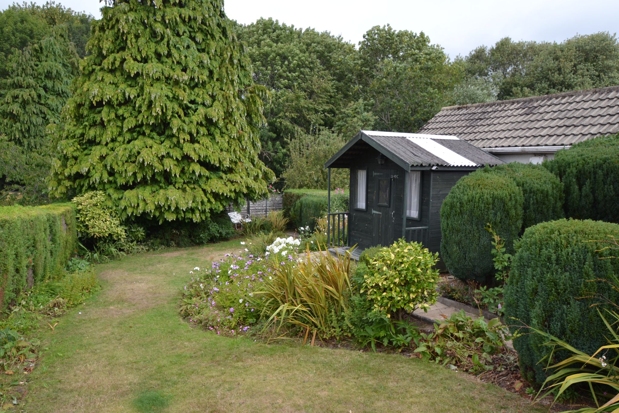 2 Bed Semi-detached Bungalow For Sale - Photograph 16