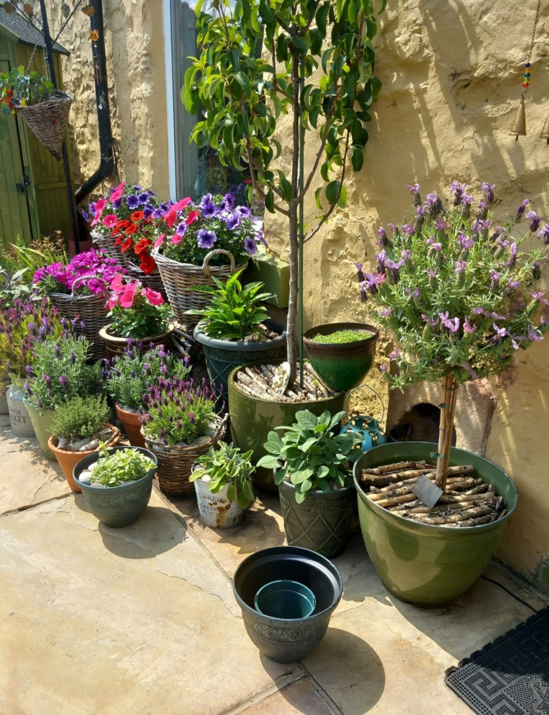  - Garden
