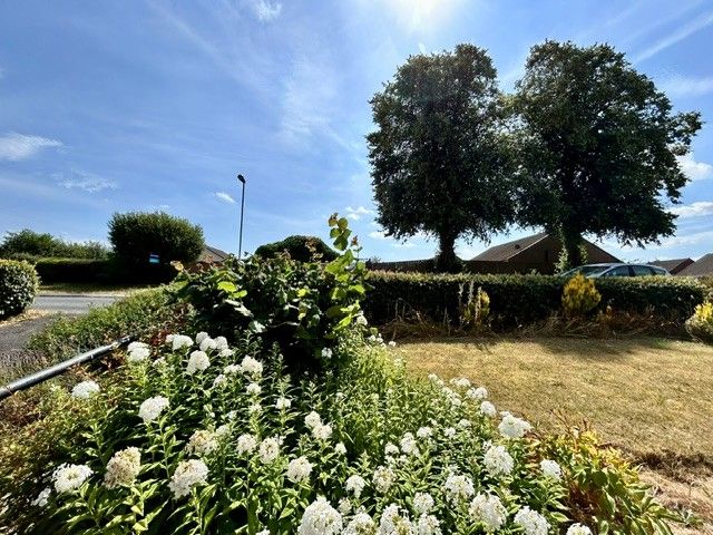  - Front Garden