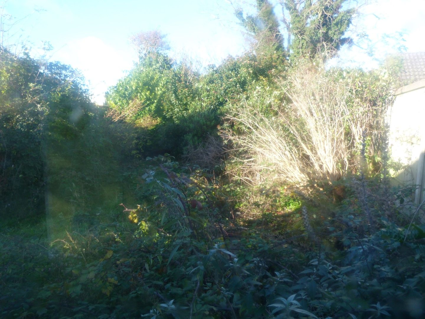 2 bedroom semi-detached bungalow SSTC in Ramsgate - Photograph 8