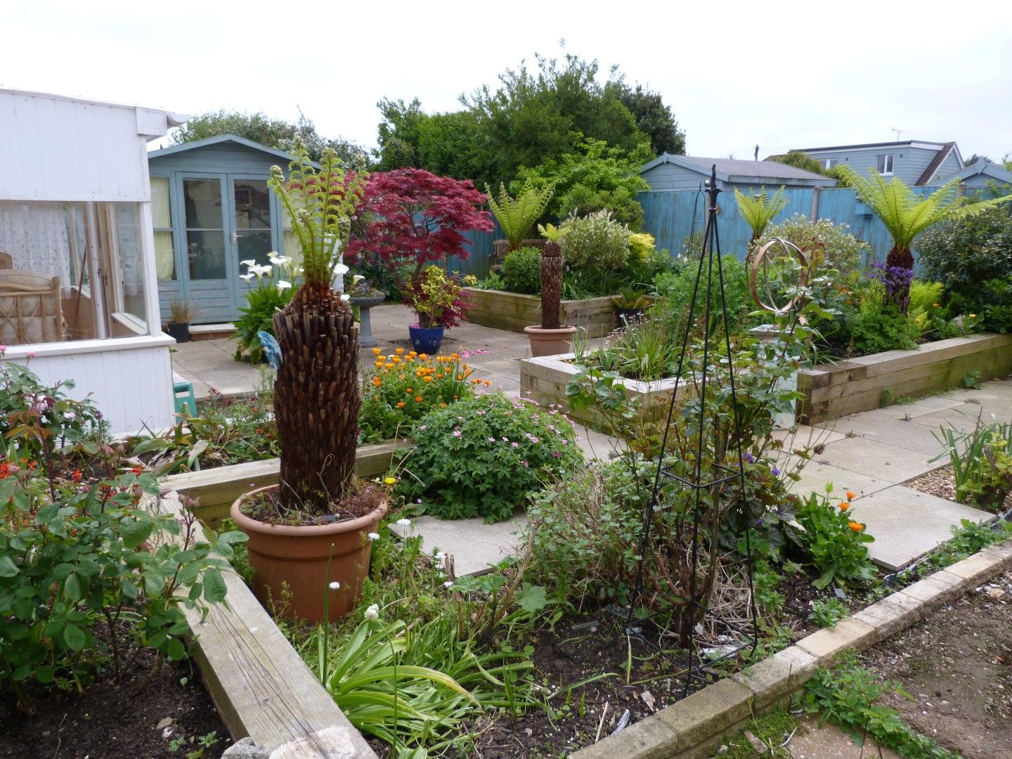 2 bedroom link detached bungalow SSTC in Broadstairs - Photograph 7
