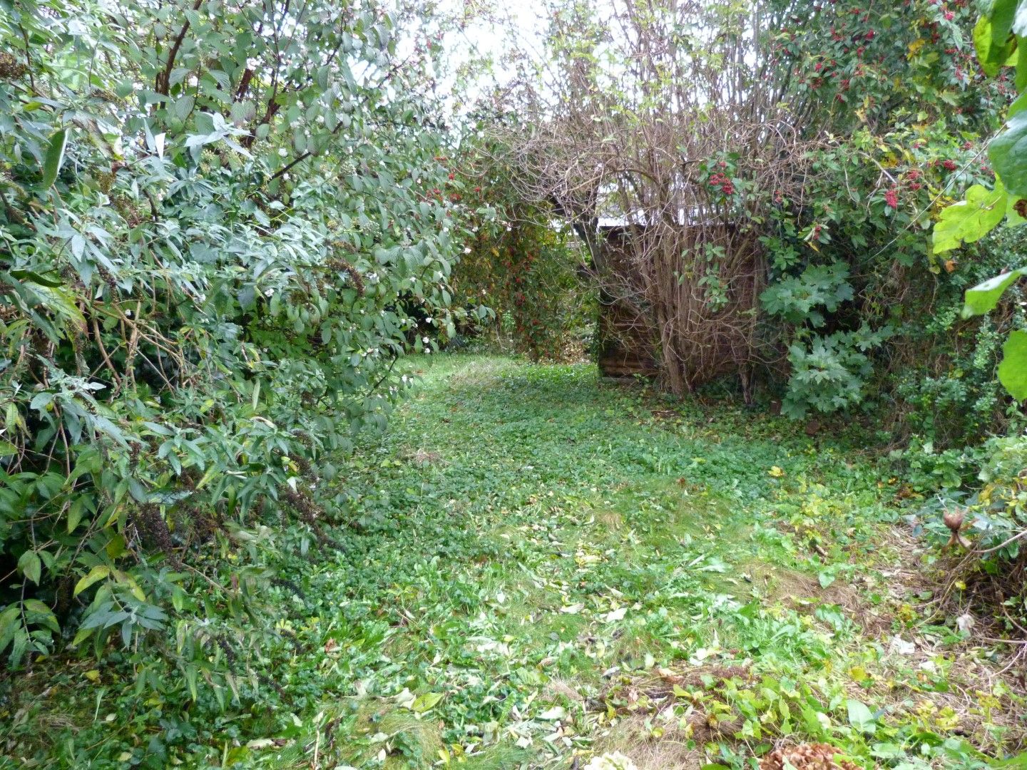 2 bedroom semi-detached bungalow SSTC in Broadstairs - Photograph 7