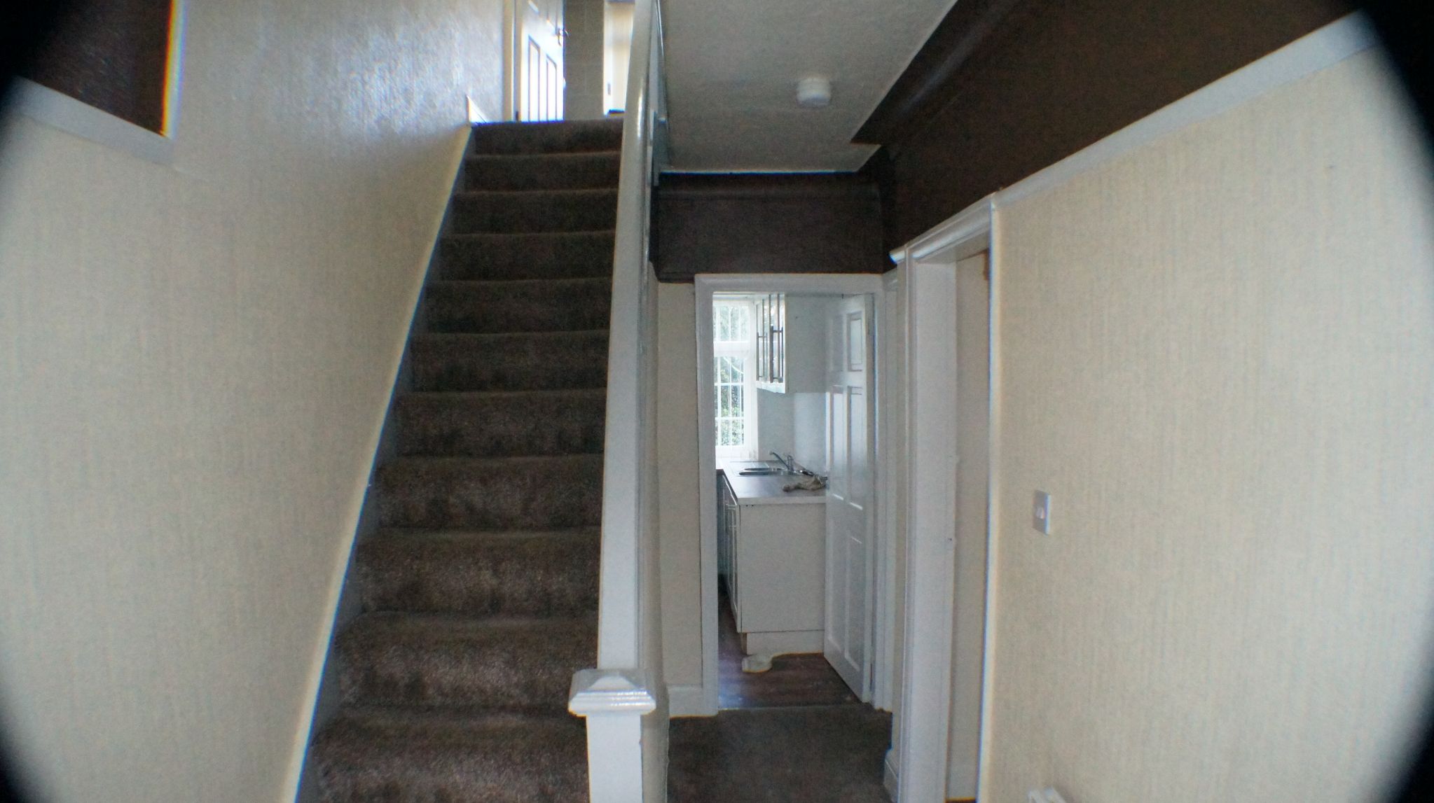  - Photograph 2