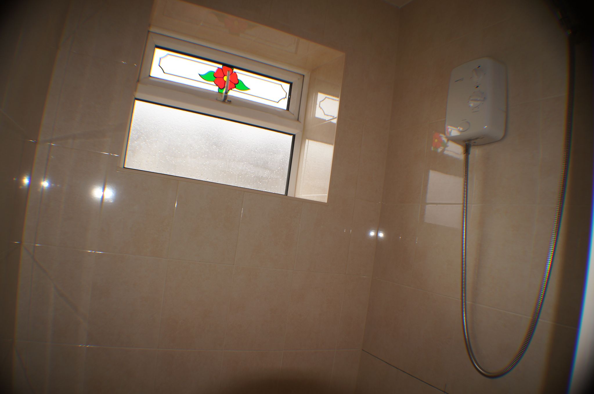  - Photograph 7